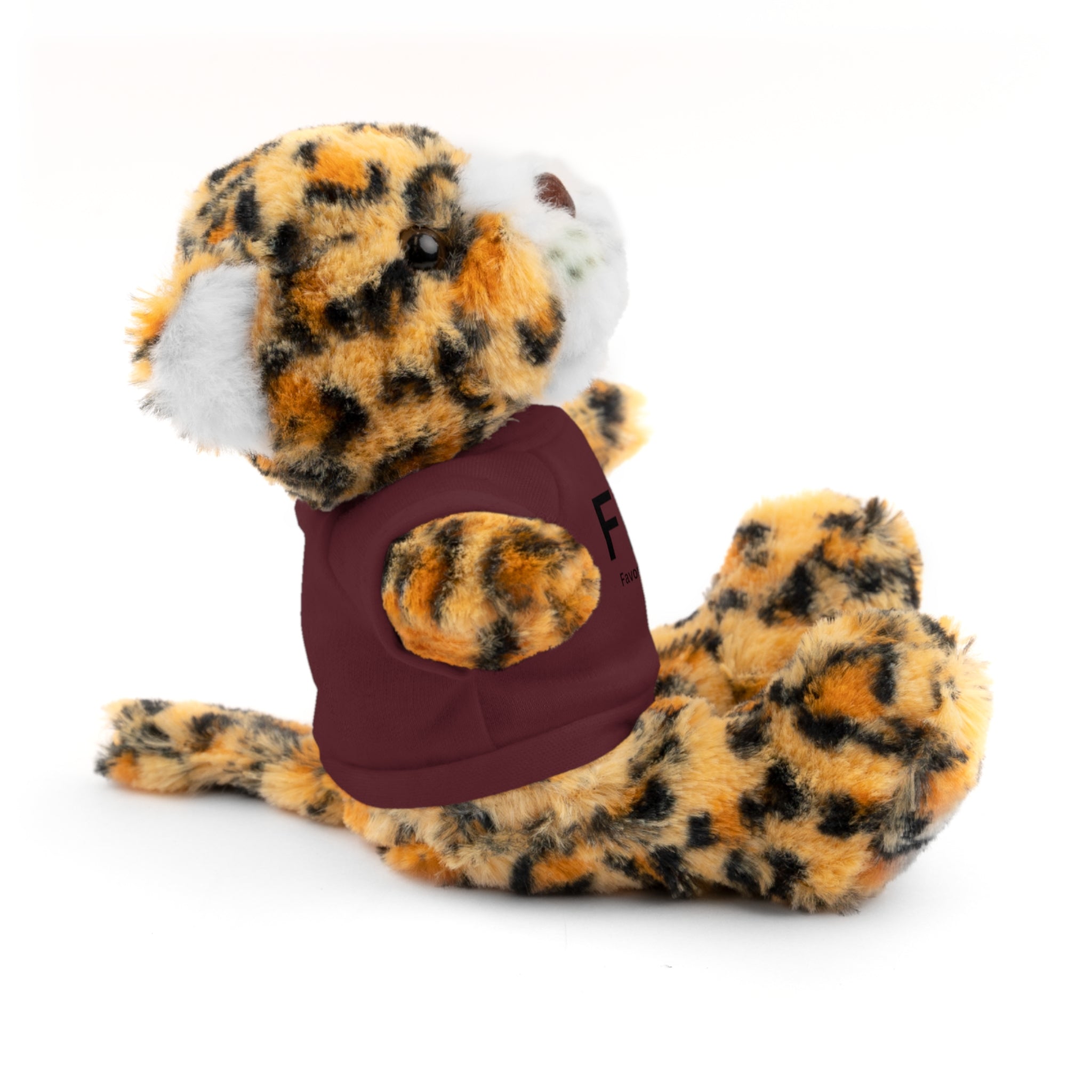 Stuffed Animal Gift – Favorite Boyfriend on Earth (FBOE)– Customizable T-Shirt & Animal