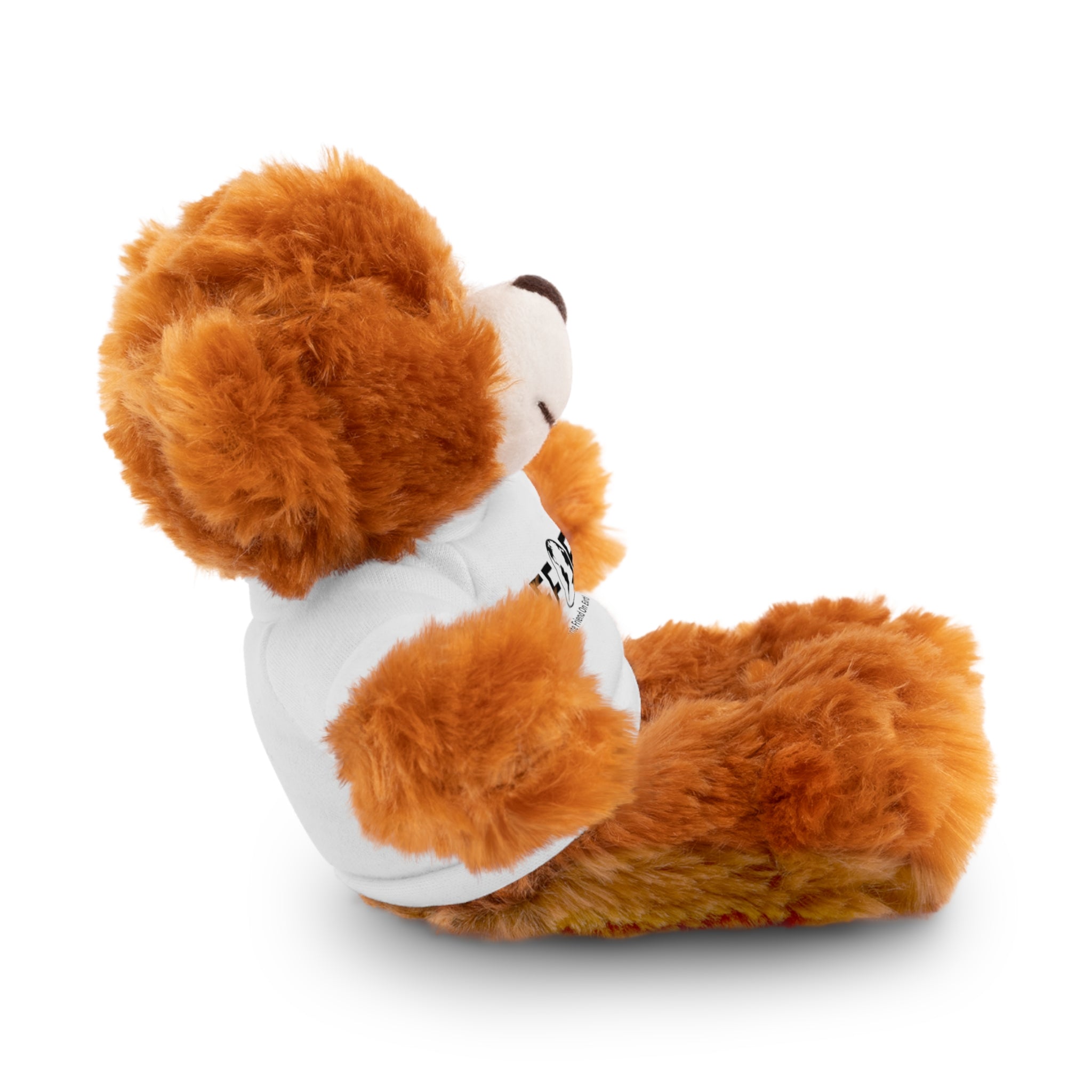 Stuffed Animal Gift – Favorite Friend on Earth (FFOE)– Customizable T-Shirt & Animal