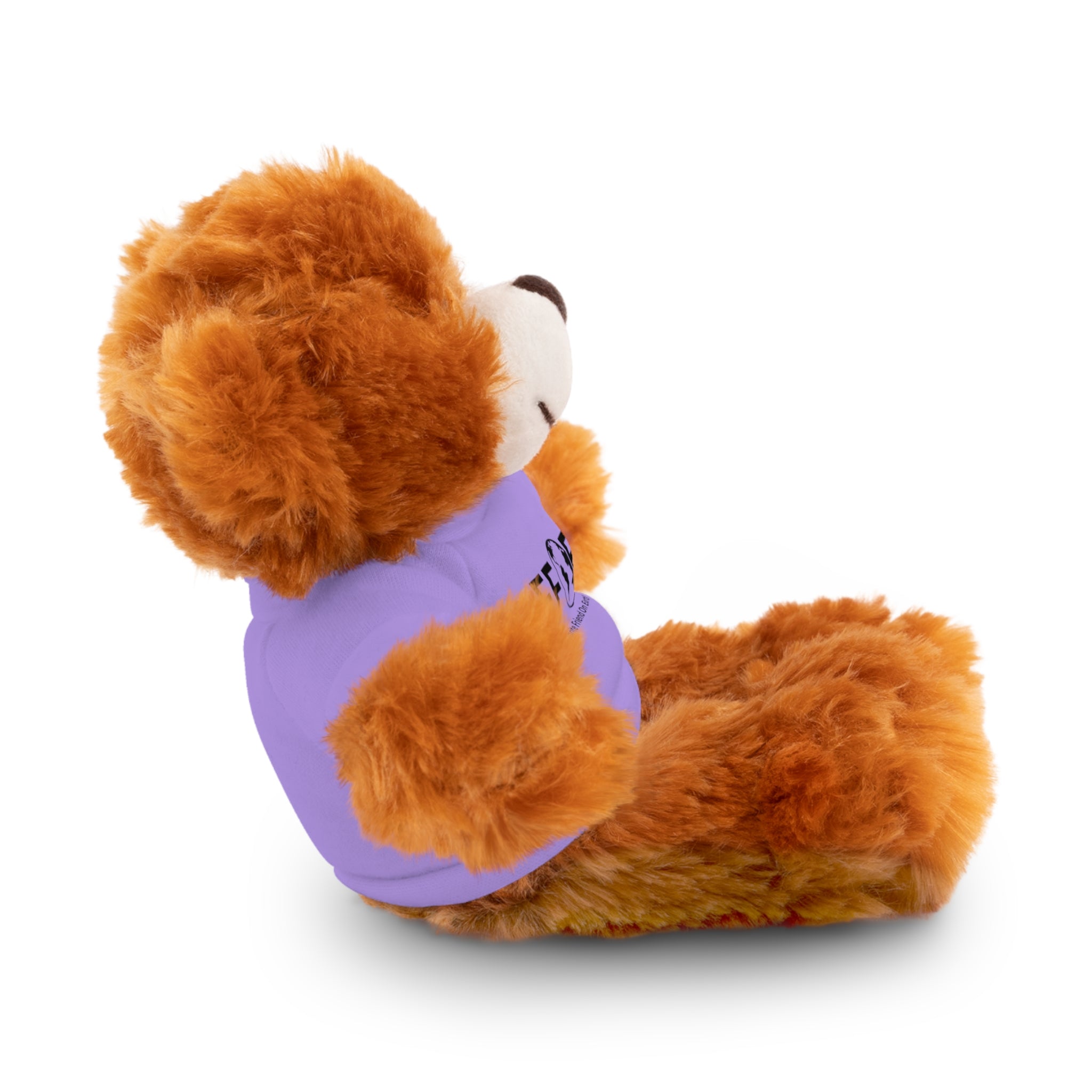Stuffed Animal Gift – Favorite Friend on Earth (FFOE)– Customizable T-Shirt & Animal