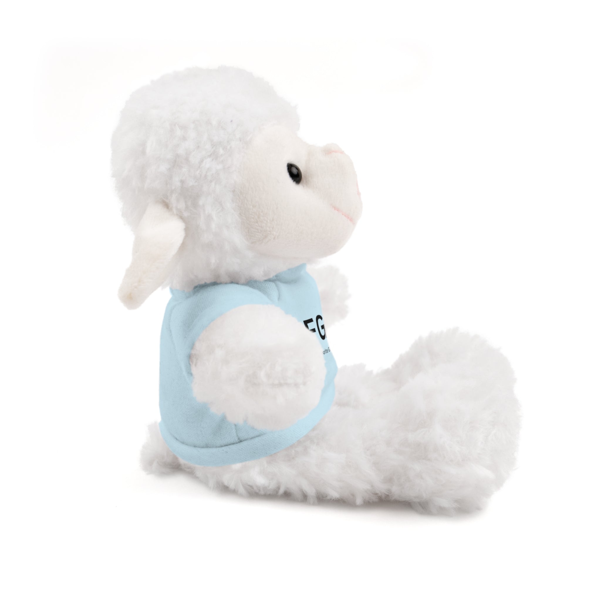 Stuffed Animal Gift – Favorite Girlfriend on Earth (FGOE)– Customizable T-Shirt & Animal