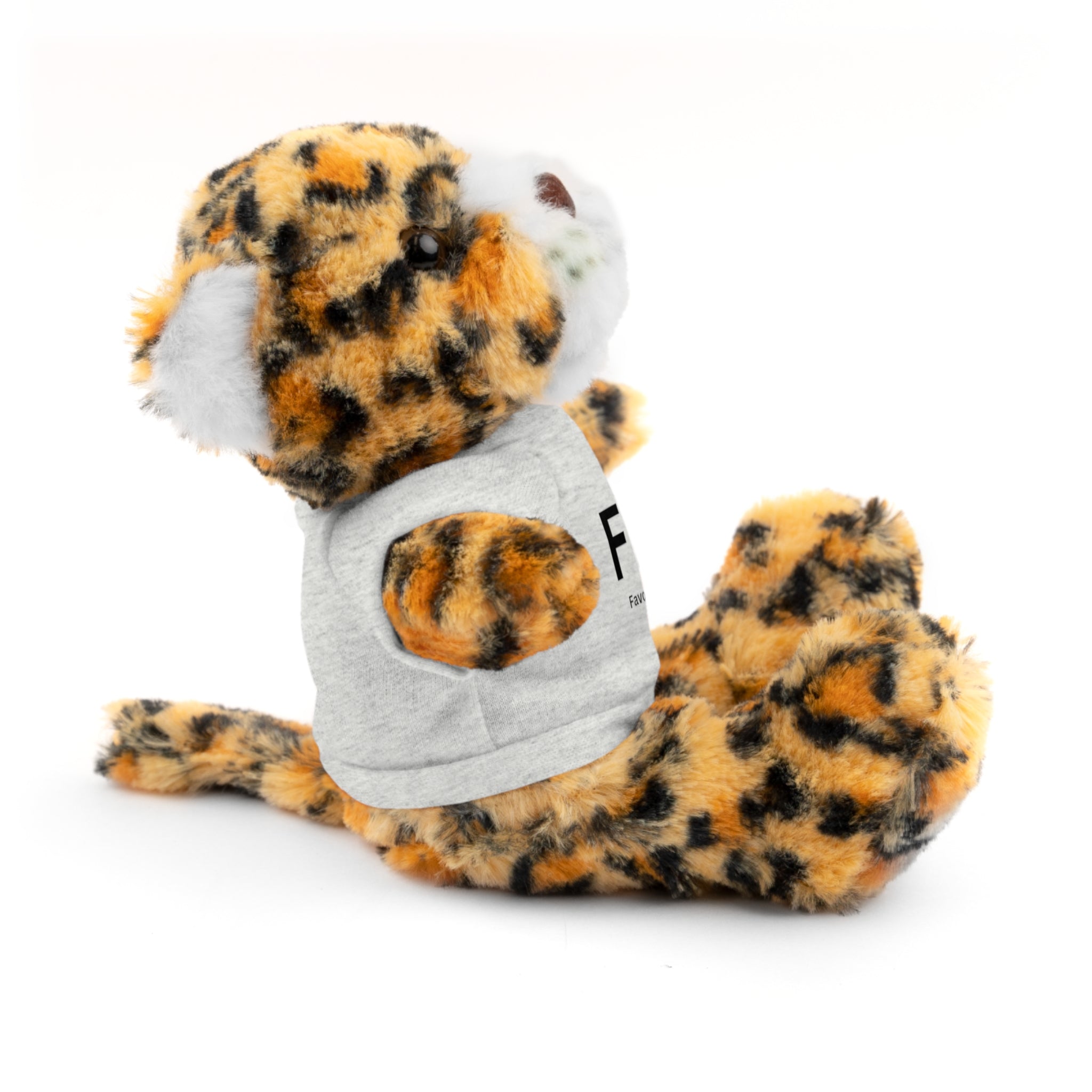 Stuffed Animal Gift – Favorite Friend on Earth (FFOE)– Customizable T-Shirt & Animal
