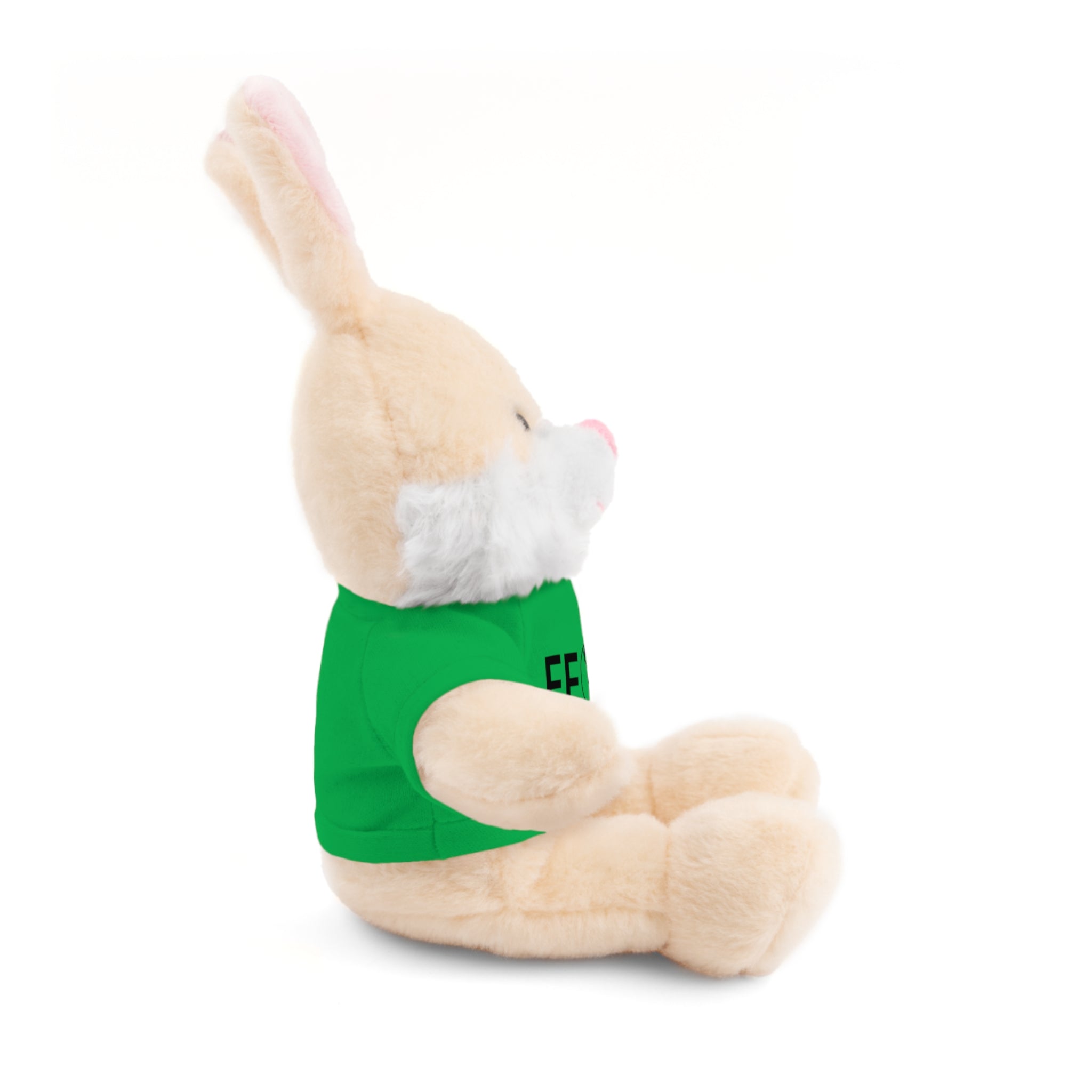 Stuffed Animal Gift – Favorite Friend on Earth (FFOE)– Customizable T-Shirt & Animal