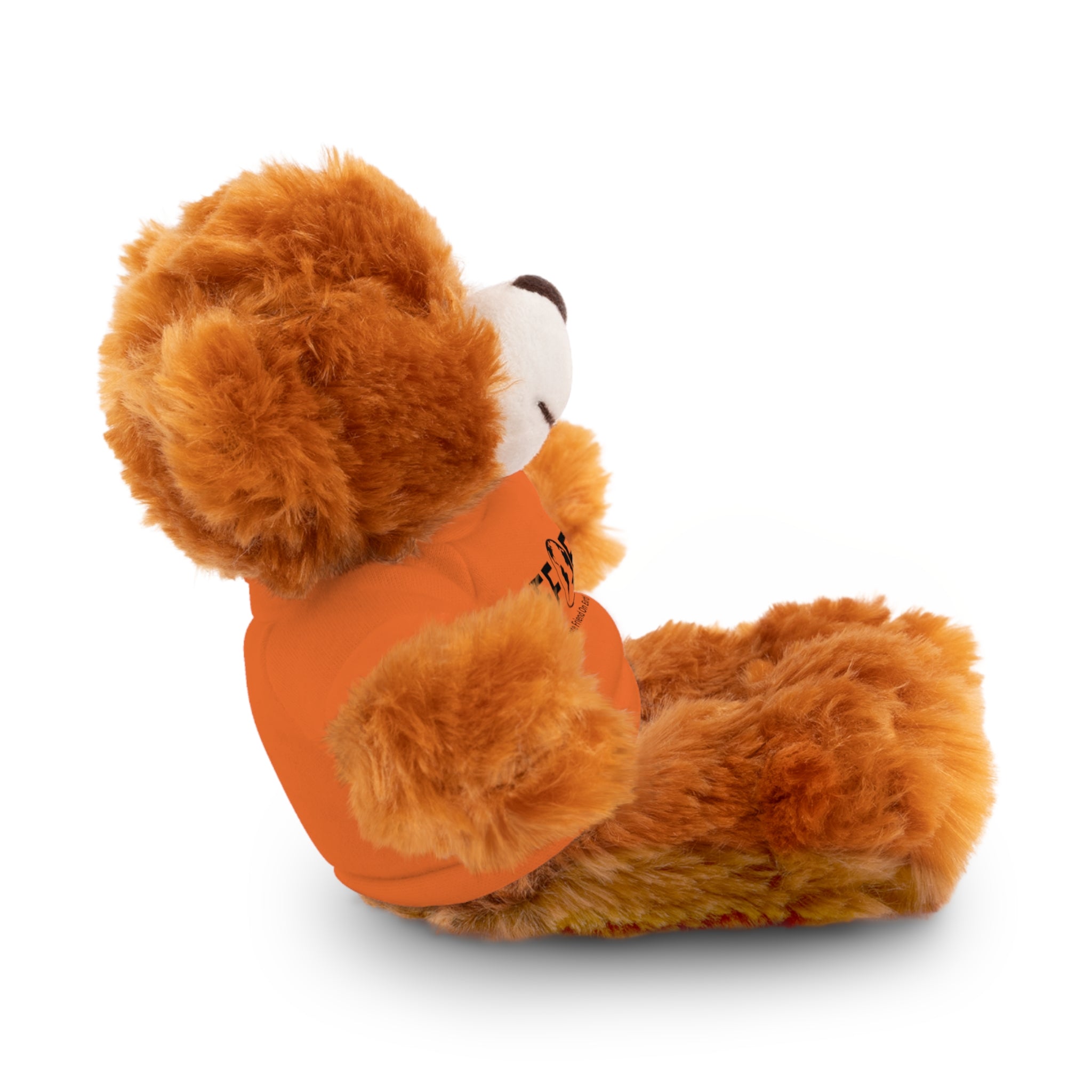 Stuffed Animal Gift – Favorite Friend on Earth (FFOE)– Customizable T-Shirt & Animal