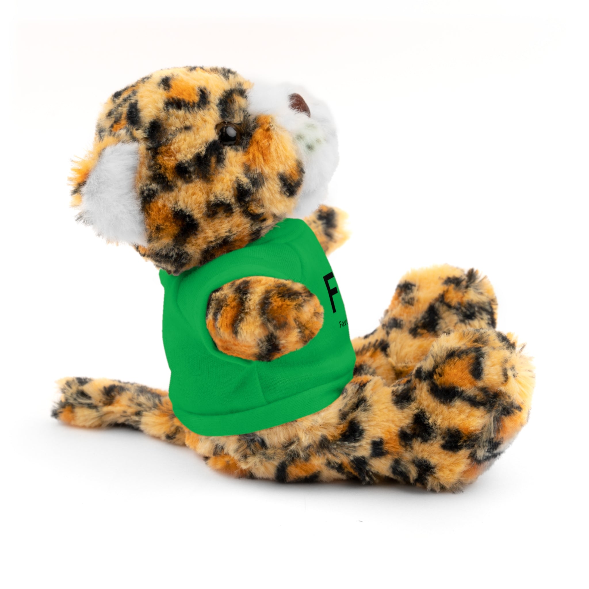 Stuffed Animal Gift – Favorite Friend on Earth (FFOE)– Customizable T-Shirt & Animal