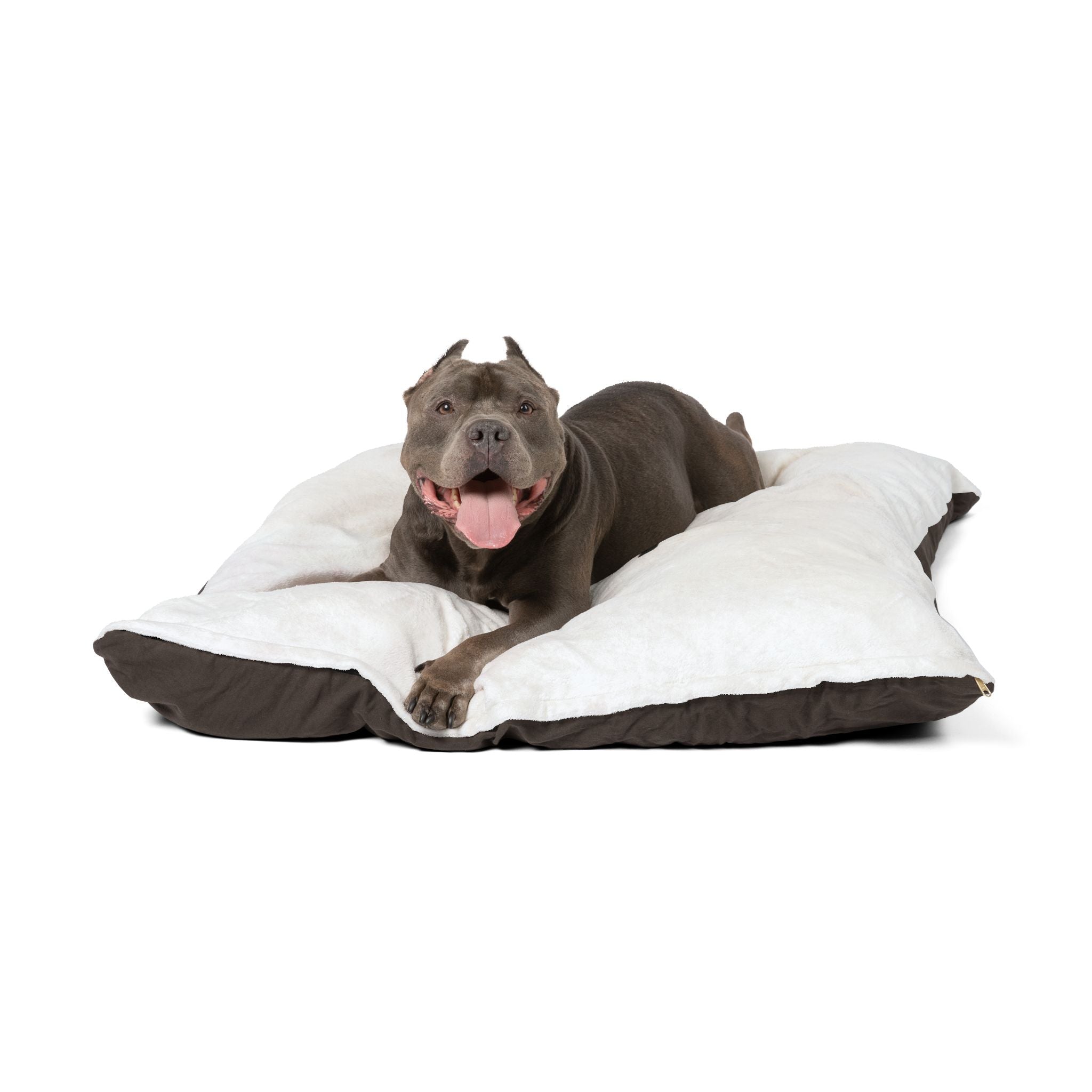 Favorite Dog On Earth (FDOE) Custom Pet Bed - Cozy and Stylish Dog Nest