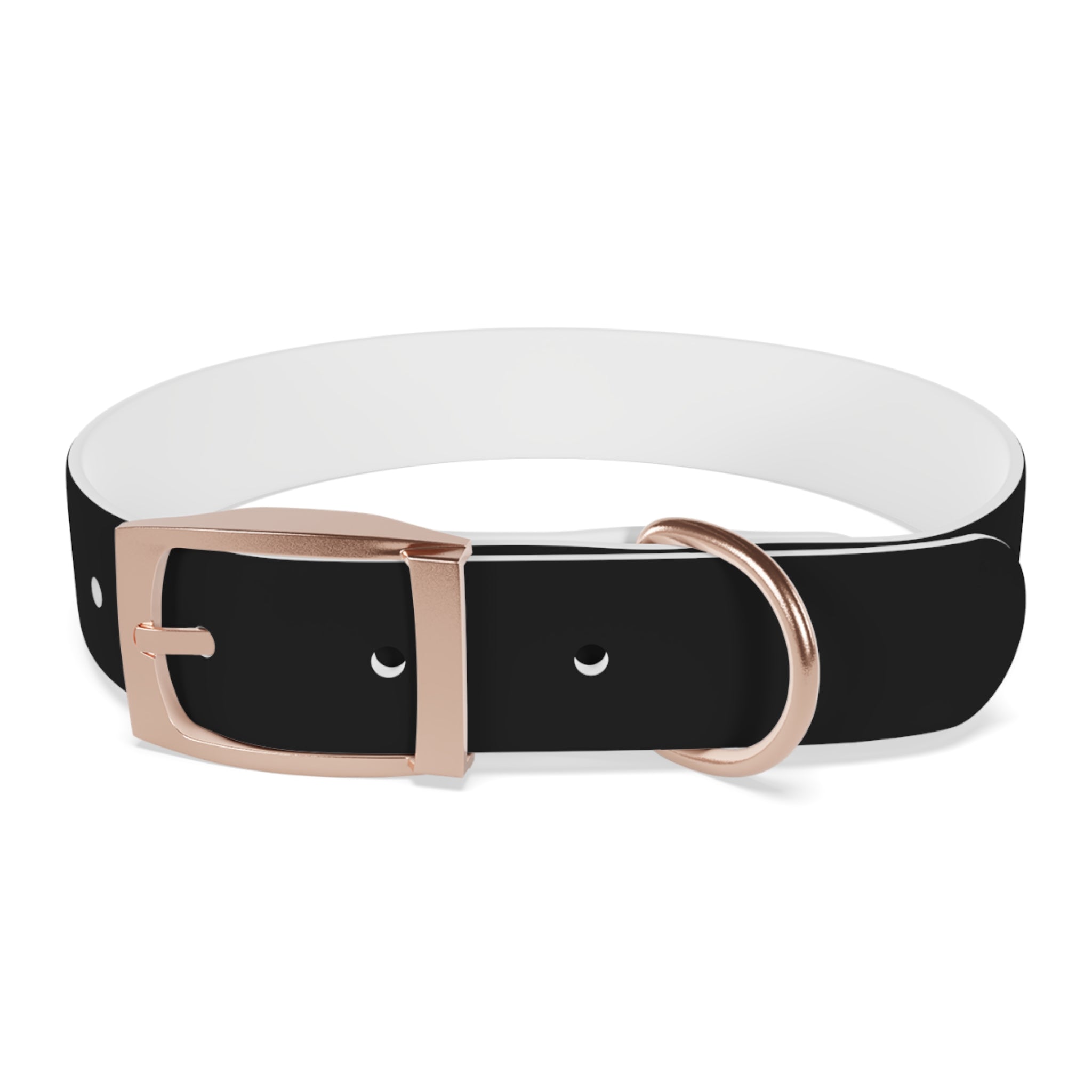 Favorite Dog On Earth (FDOE) Personalized Dog Collar - Customizable and Stylish Pet Accessory