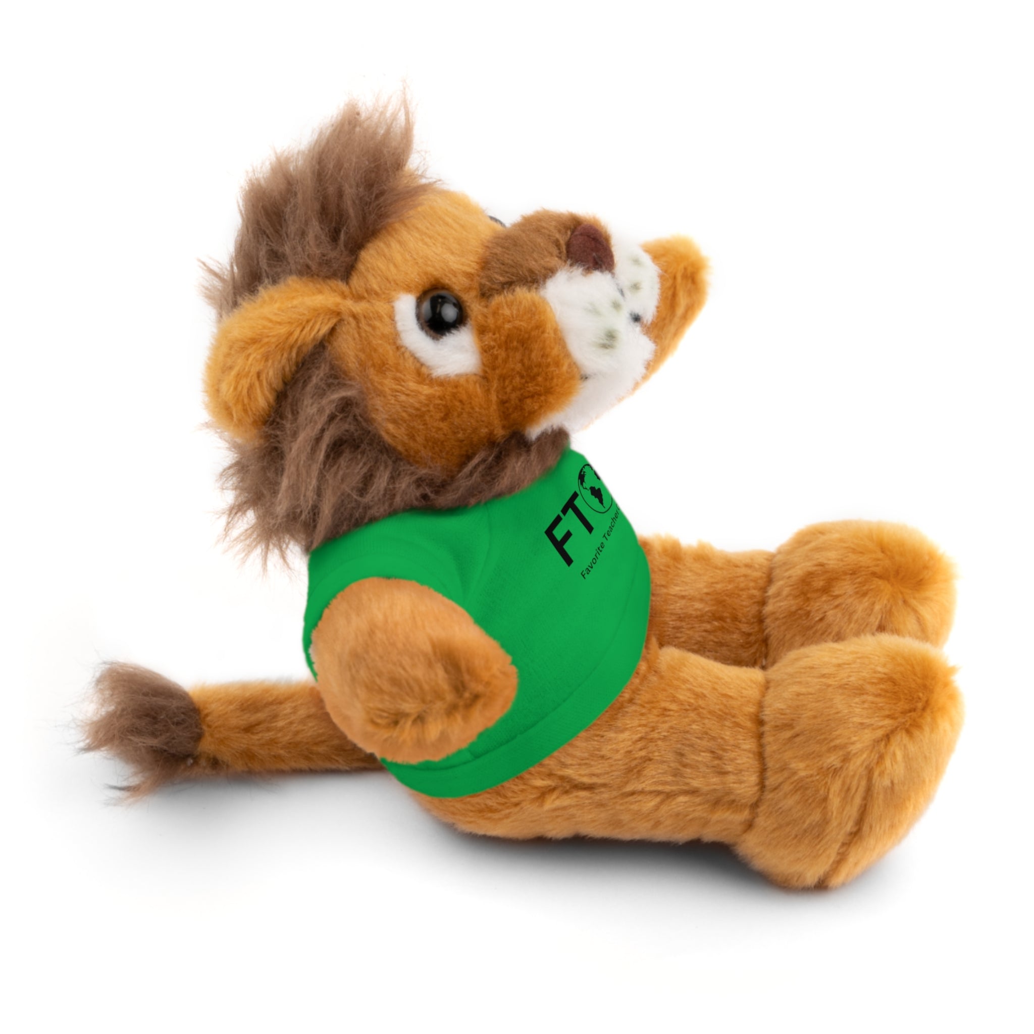 Stuffed Animal Gift – Favorite Teacher on Earth (FTOE) – Customizable T-Shirt & Animal