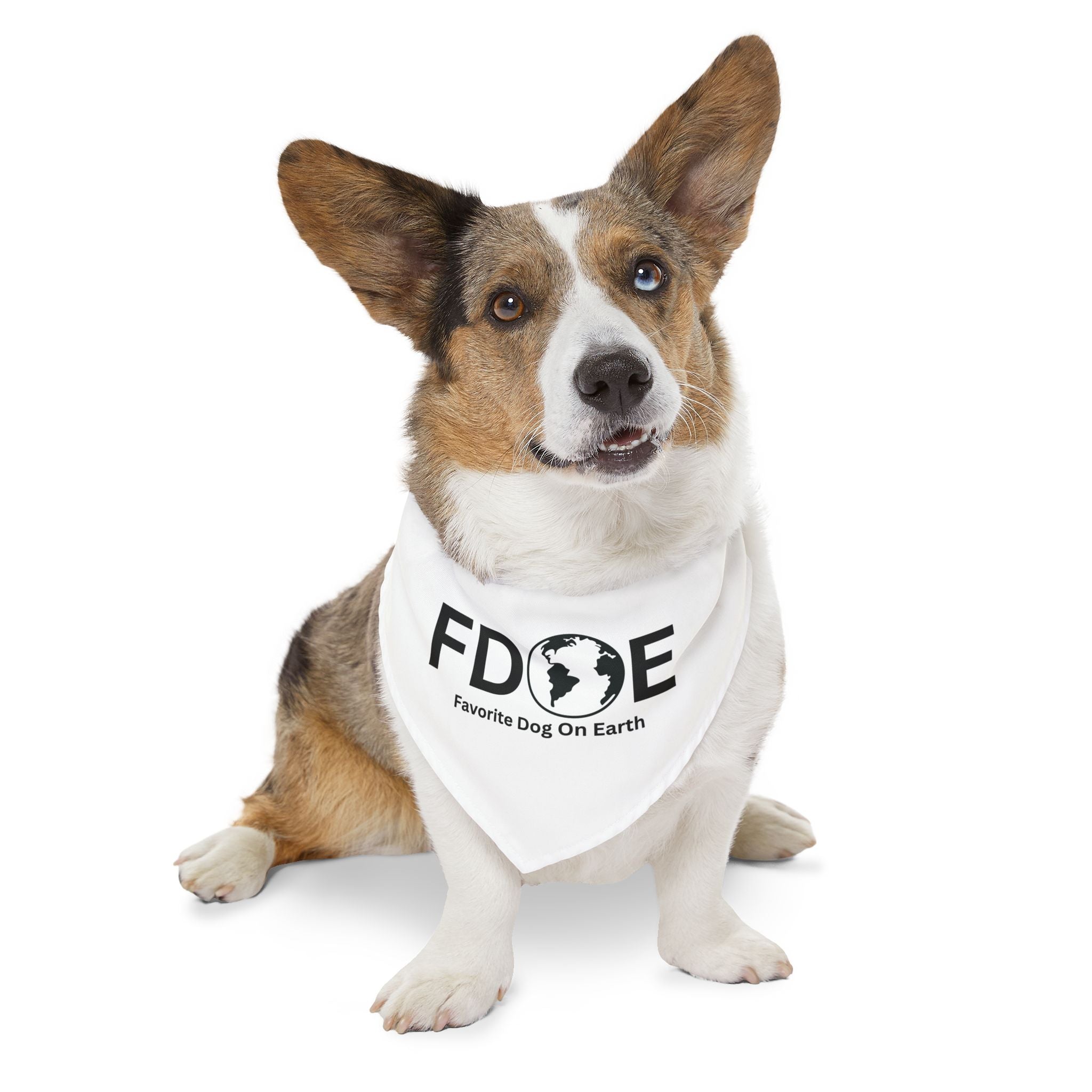 Favorite Dog on Earth (FDOE) Pet Bandana Collar – Fun & Durable Accessory