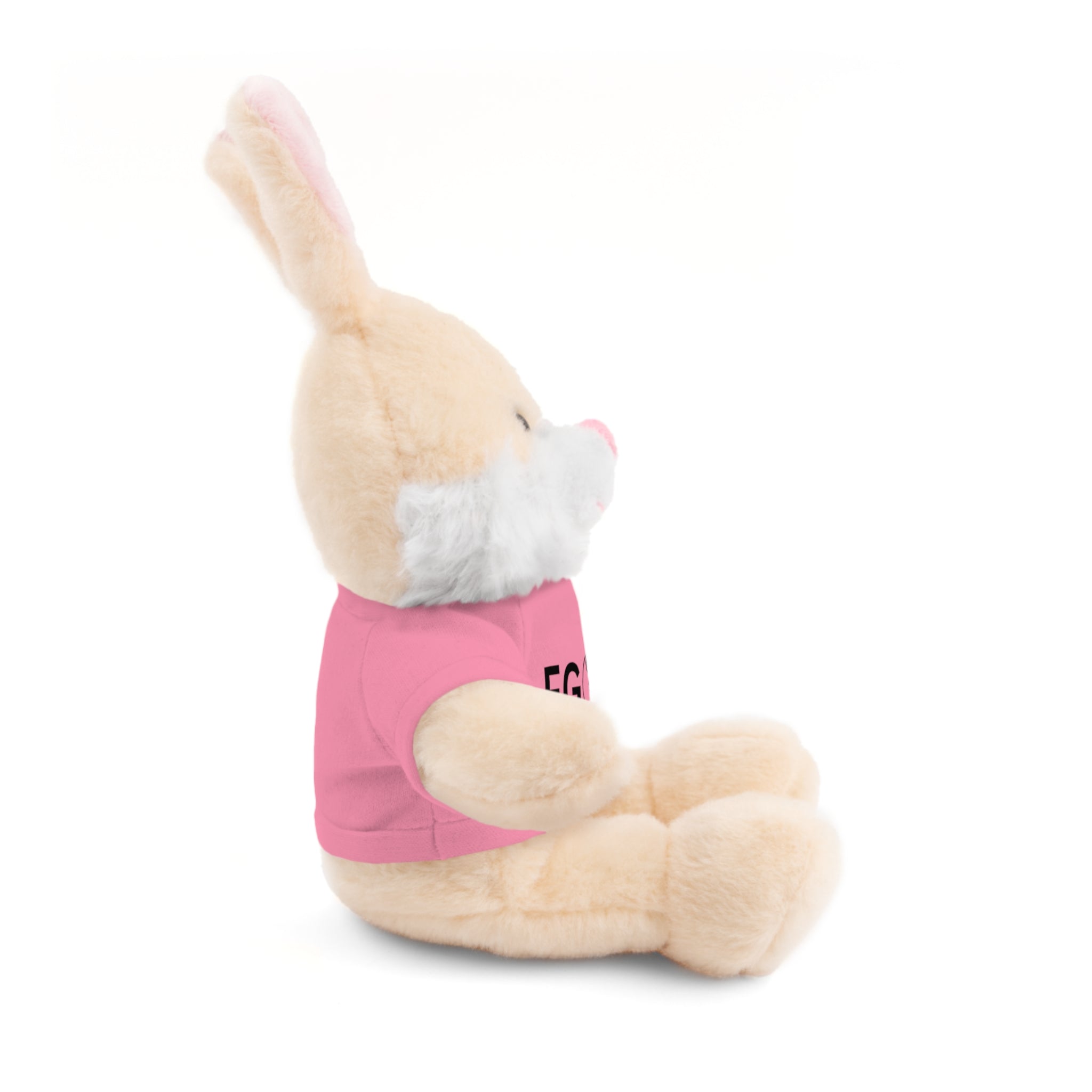 Stuffed Animal Gift – Favorite Girlfriend on Earth (FGOE)– Customizable T-Shirt & Animal