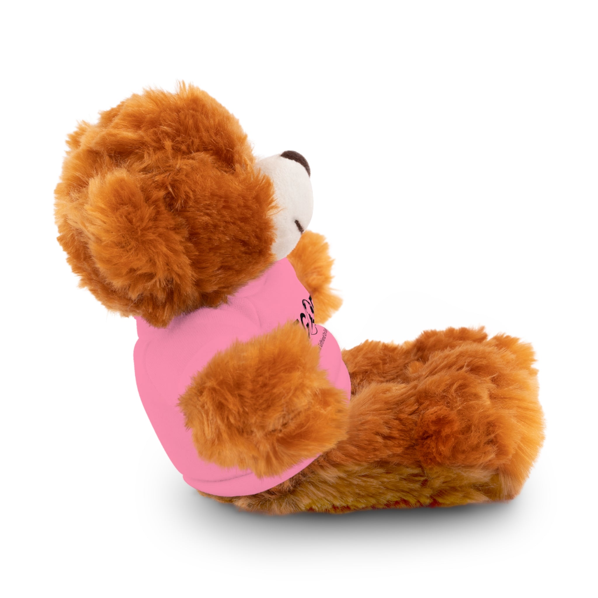 Stuffed Animal Gift – Favorite Girlfriend on Earth (FGOE)– Customizable T-Shirt & Animal