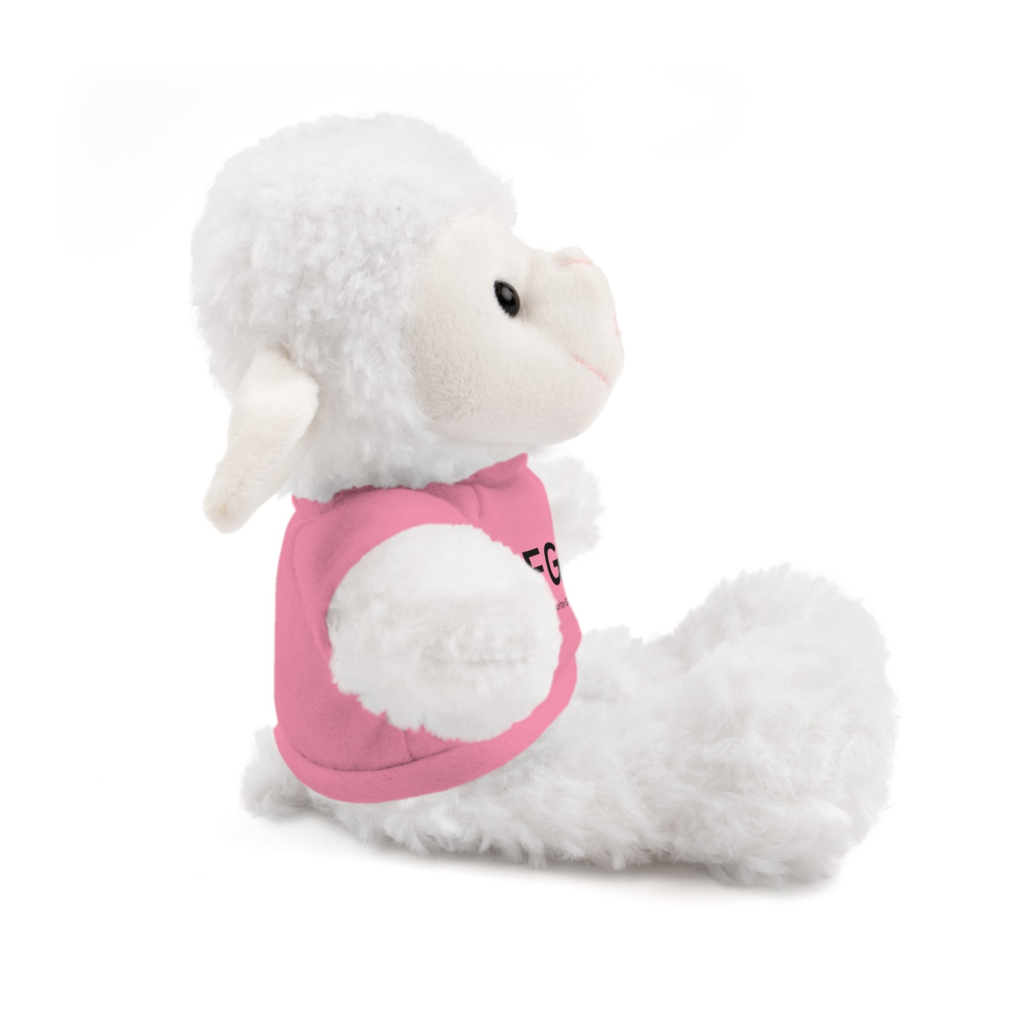 Stuffed Animal Gift – Favorite Girlfriend on Earth (FGOE)– Customizable T-Shirt & Animal