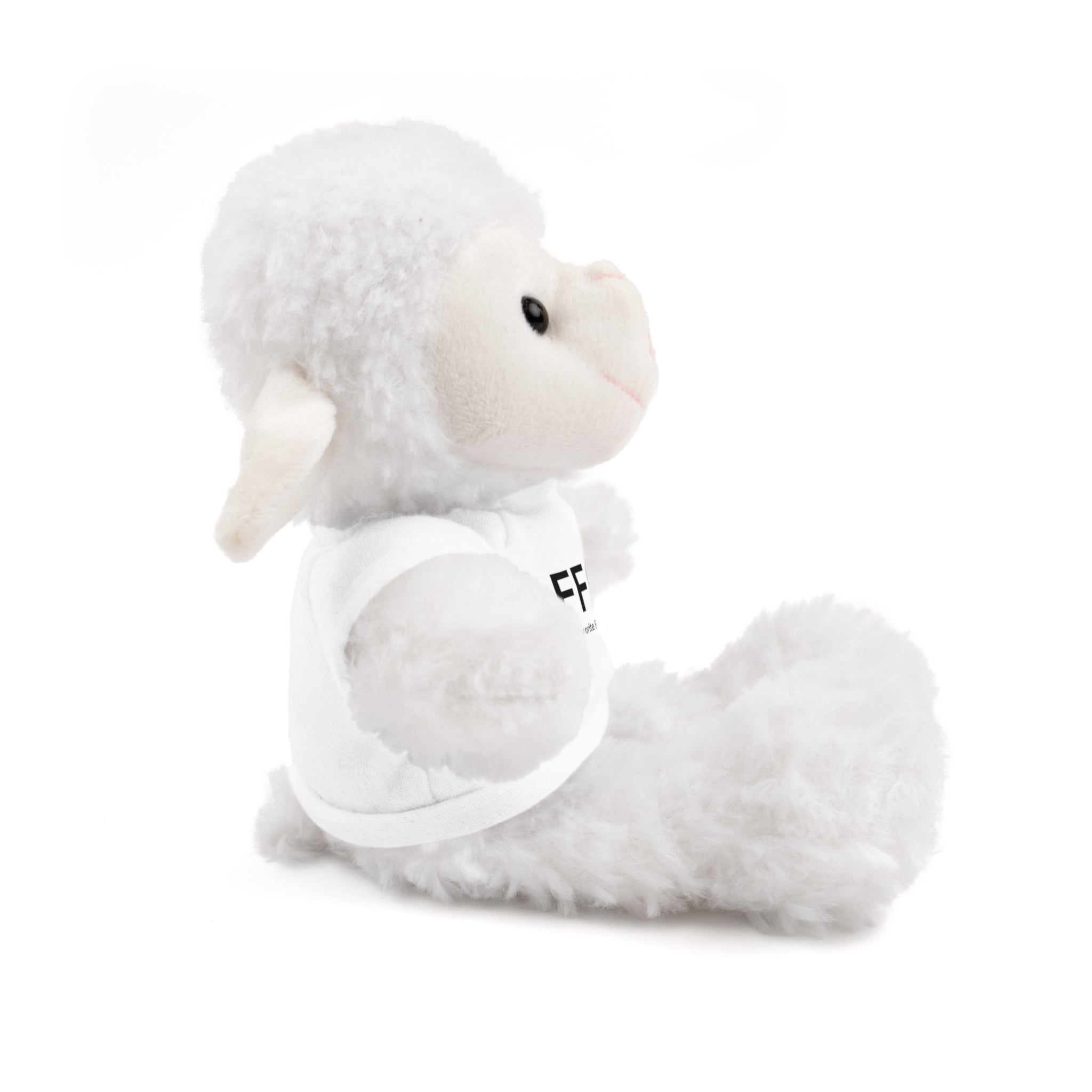 Stuffed Animal Gift – Favorite Friend on Earth (FFOE)– Customizable T-Shirt & Animal