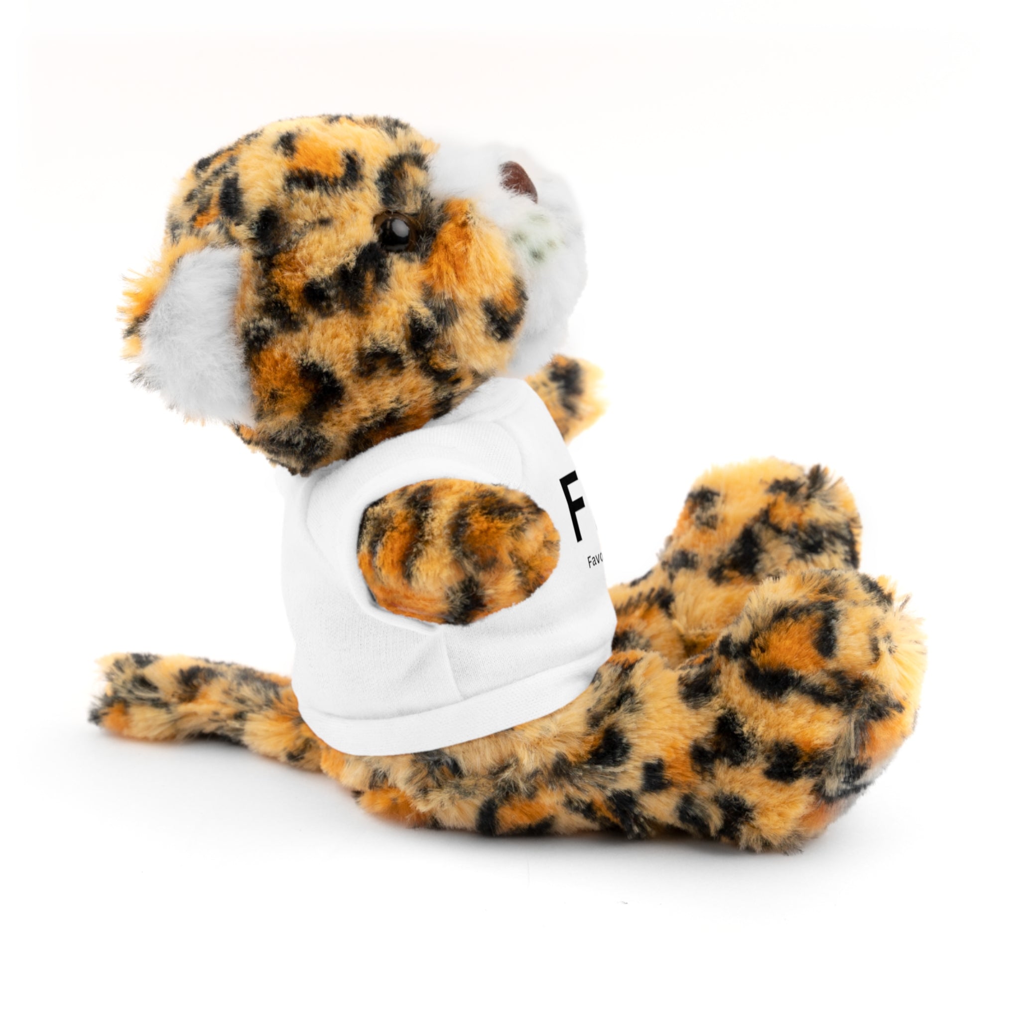 Stuffed Animal Gift – Favorite Friend on Earth (FFOE)– Customizable T-Shirt & Animal