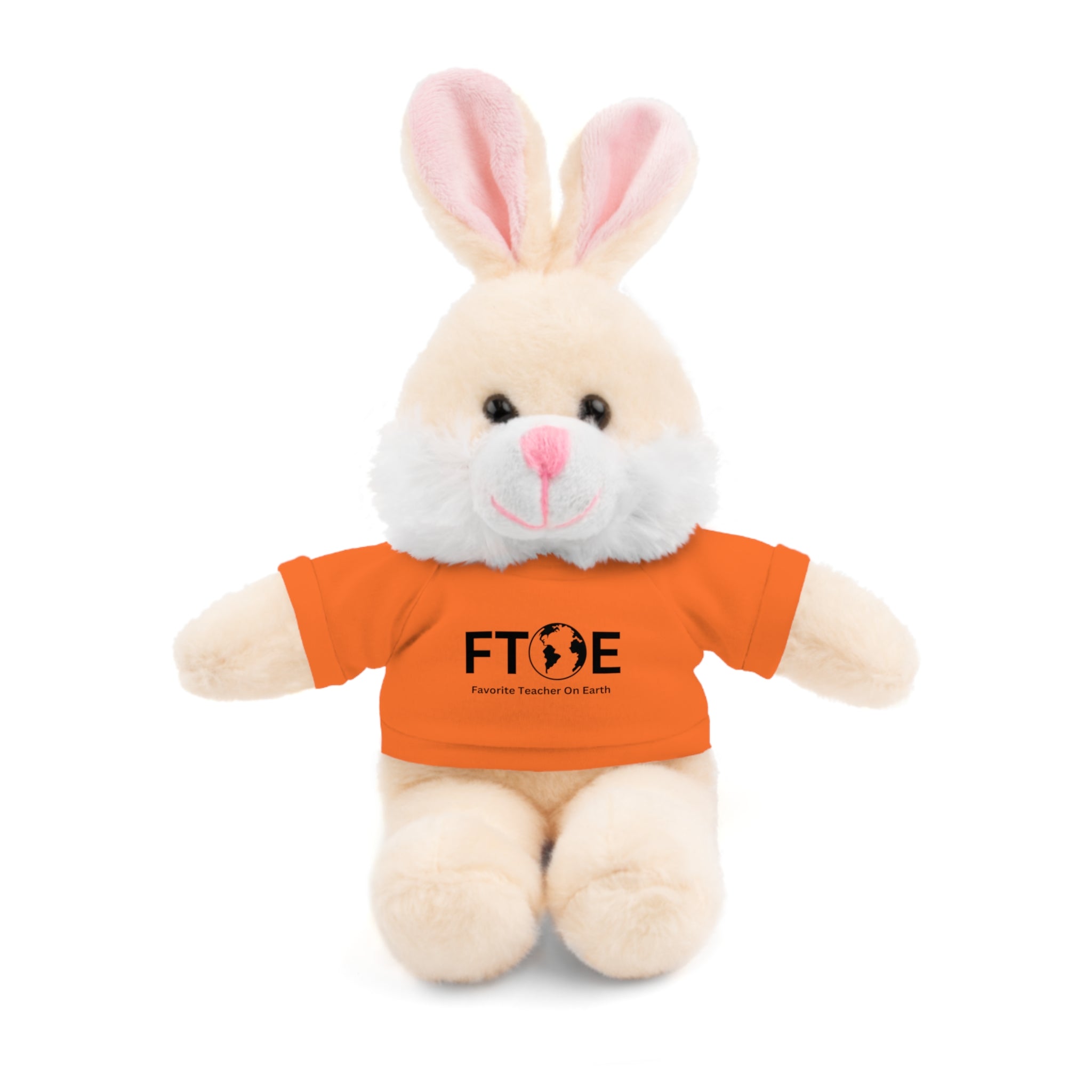 Stuffed Animal Gift – Favorite Teacher on Earth (FTOE) – Customizable T-Shirt & Animal