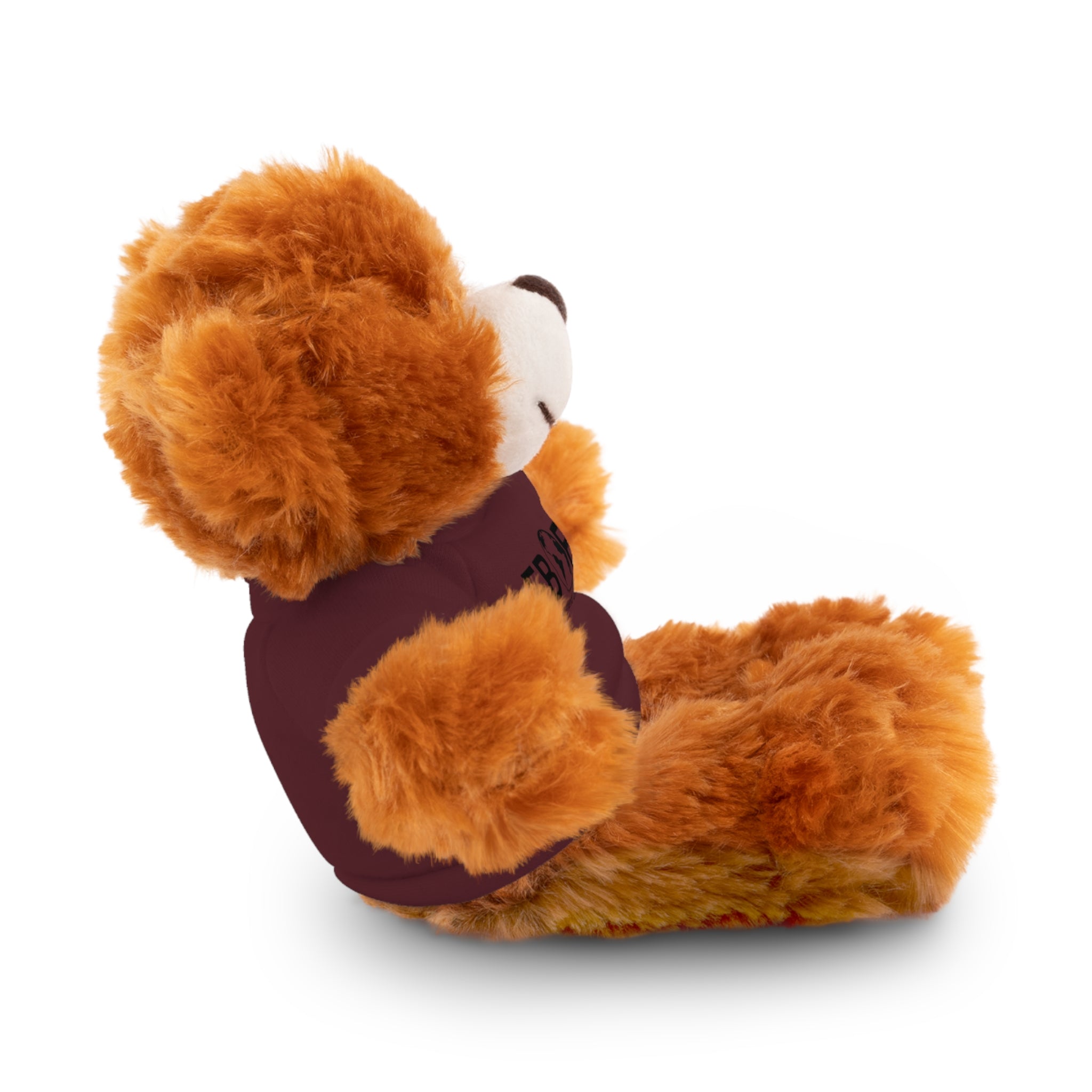 Stuffed Animal Gift – Favorite Boyfriend on Earth (FBOE)– Customizable T-Shirt & Animal
