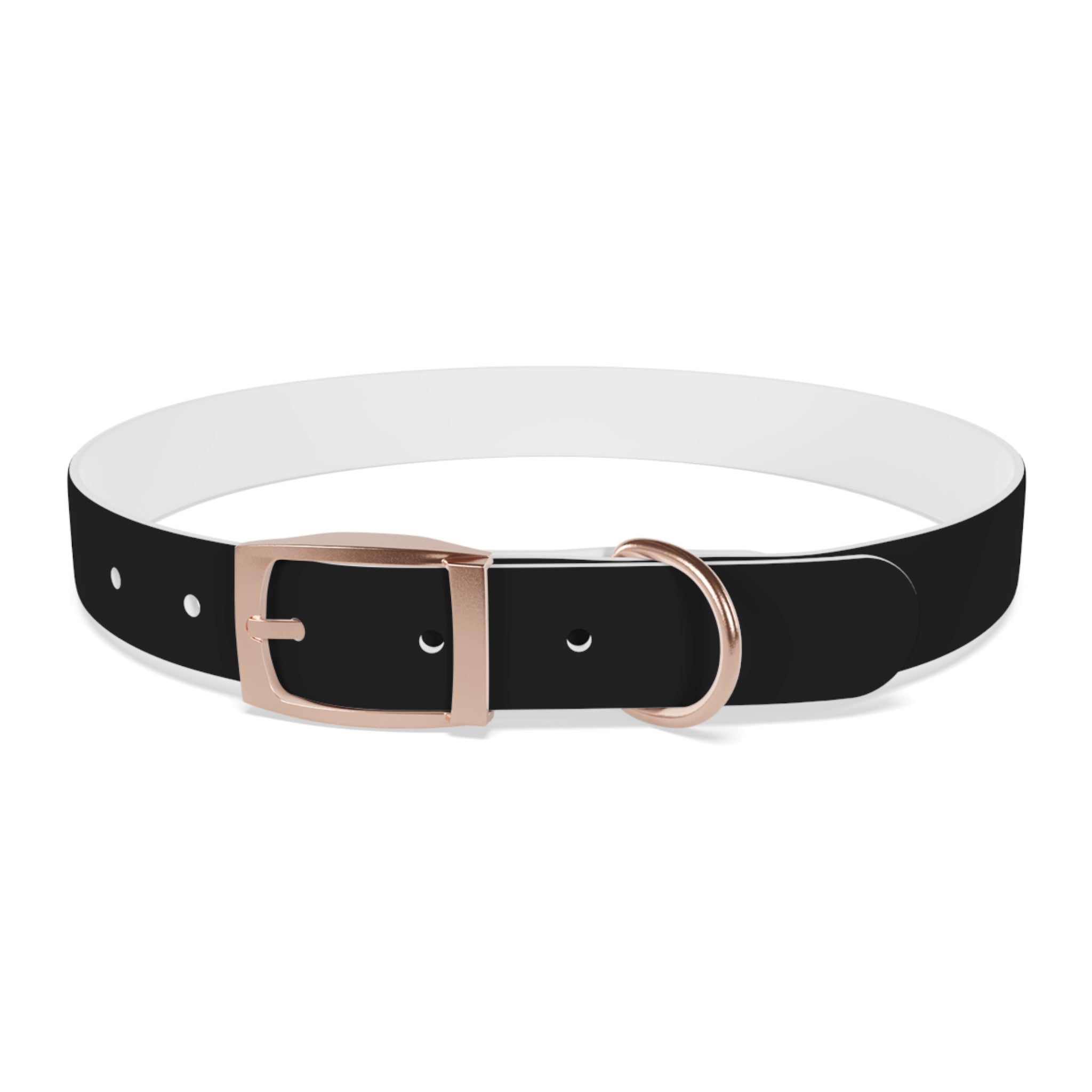 Favorite Dog On Earth (FDOE) Personalized Dog Collar - Customizable and Stylish Pet Accessory