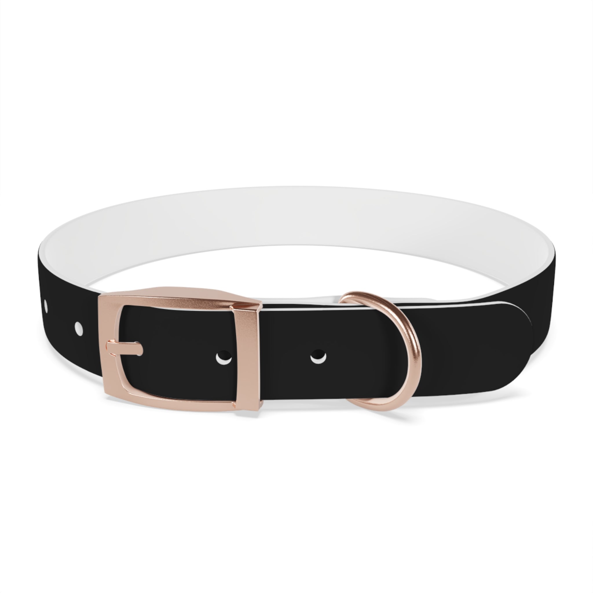 Favorite Dog On Earth (FDOE) Personalized Dog Collar - Customizable and Stylish Pet Accessory