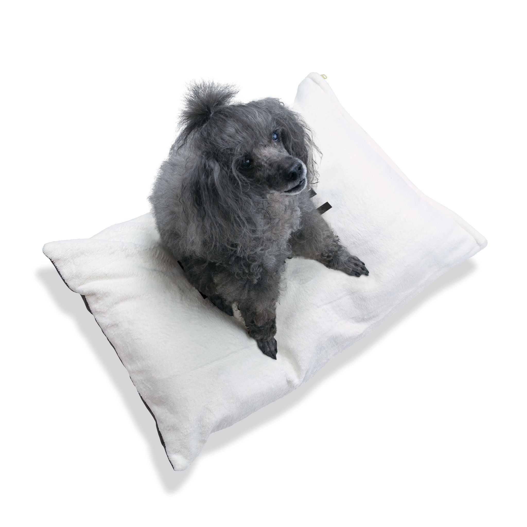 Favorite Dog On Earth (FDOE) Custom Pet Bed - Cozy and Stylish Dog Nest