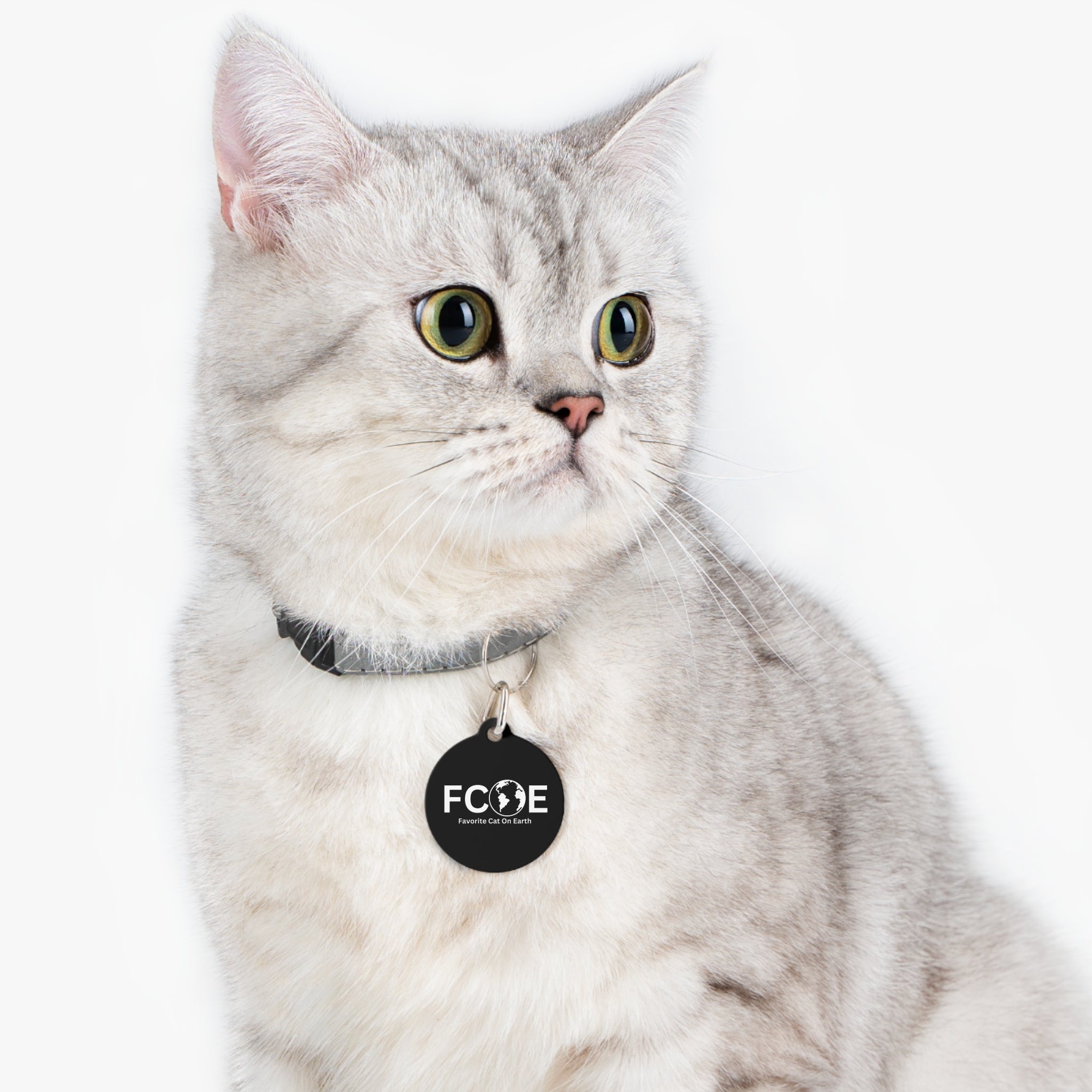 Favorite Cat On Earth (FCOE) - Black Personalized Pet Tag