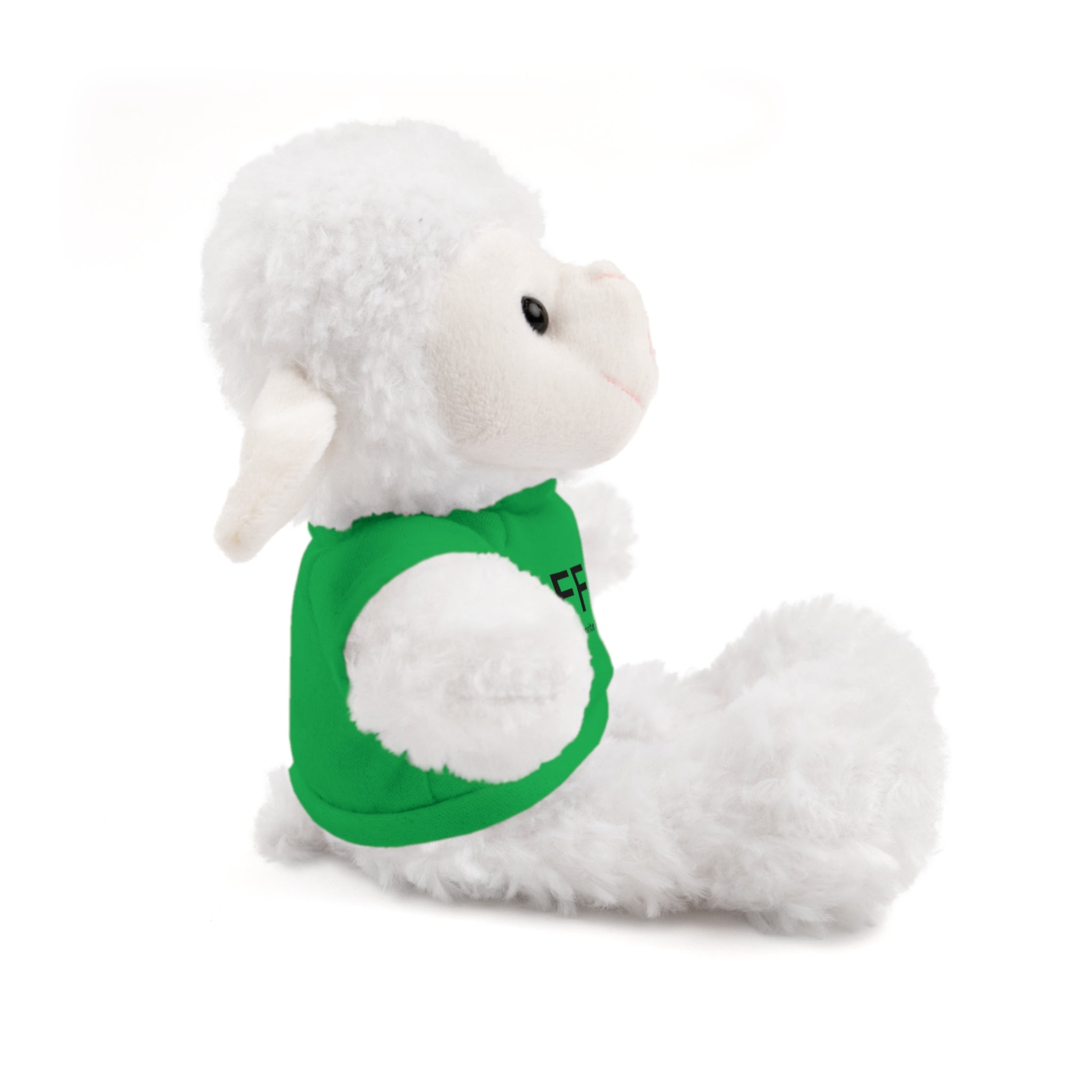Stuffed Animal Gift – Favorite Friend on Earth (FFOE)– Customizable T-Shirt & Animal