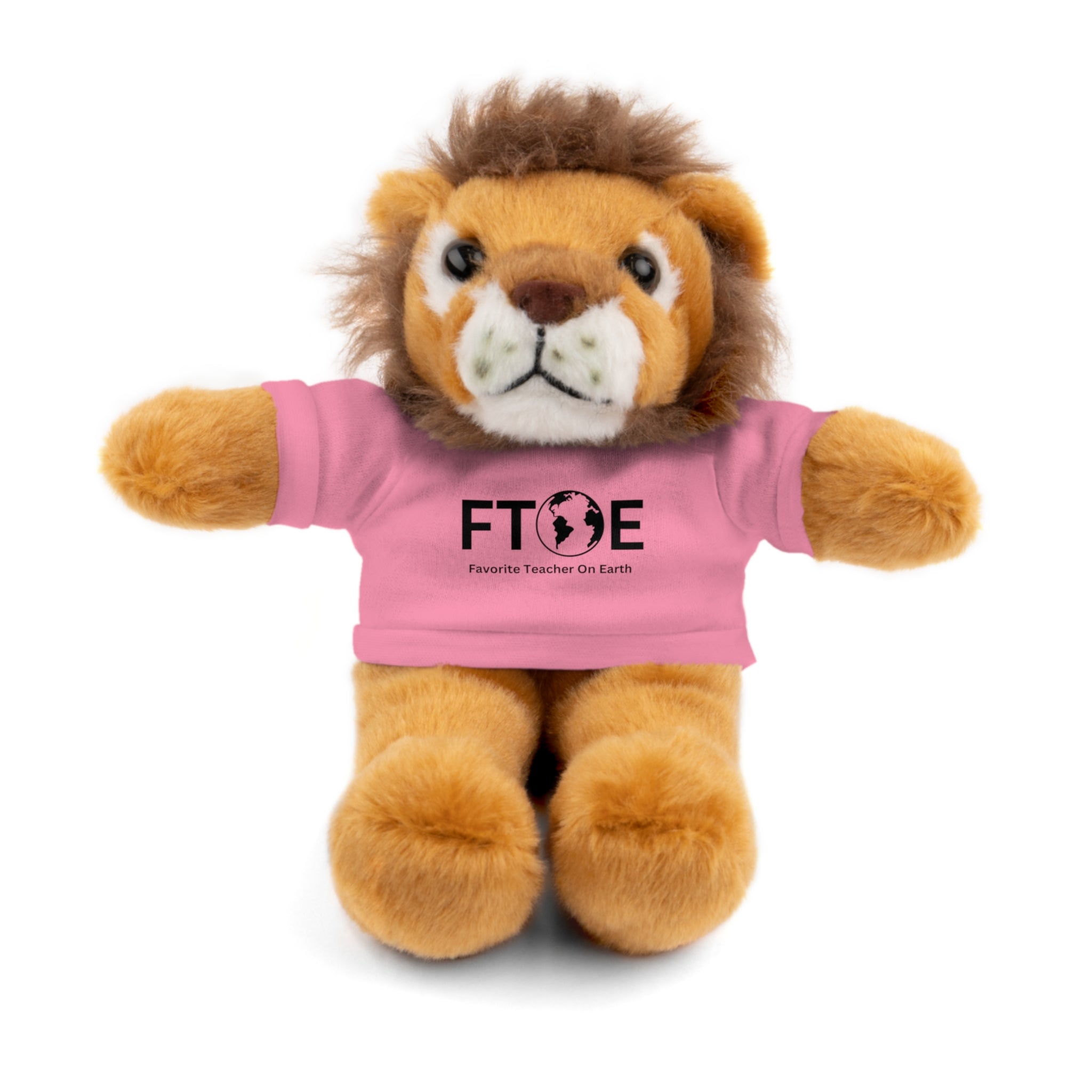 Stuffed Animal Gift – Favorite Teacher on Earth (FTOE) – Customizable T-Shirt & Animal