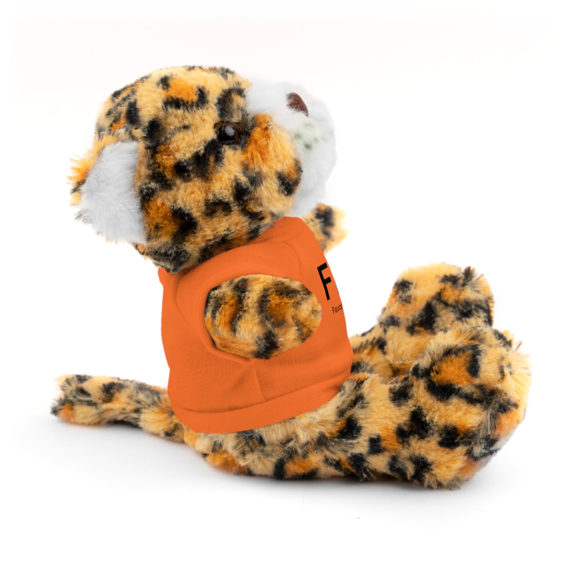 Stuffed Animal Gift – Favorite Boyfriend on Earth (FBOE)– Customizable T-Shirt & Animal