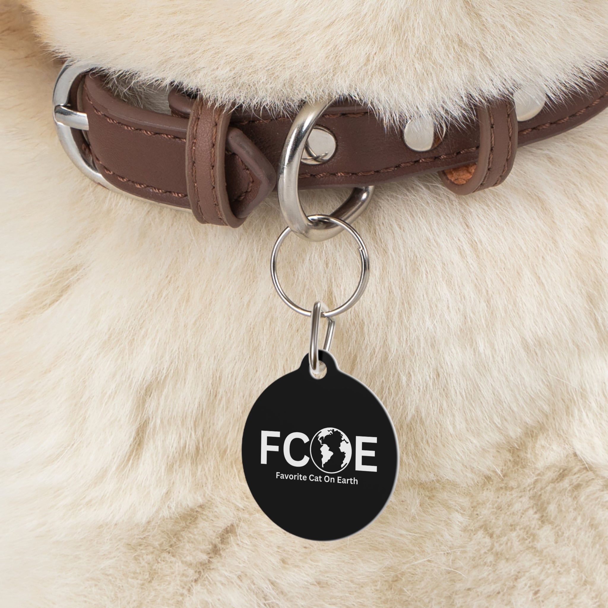 Favorite Cat On Earth (FCOE) - Black Personalized Pet Tag