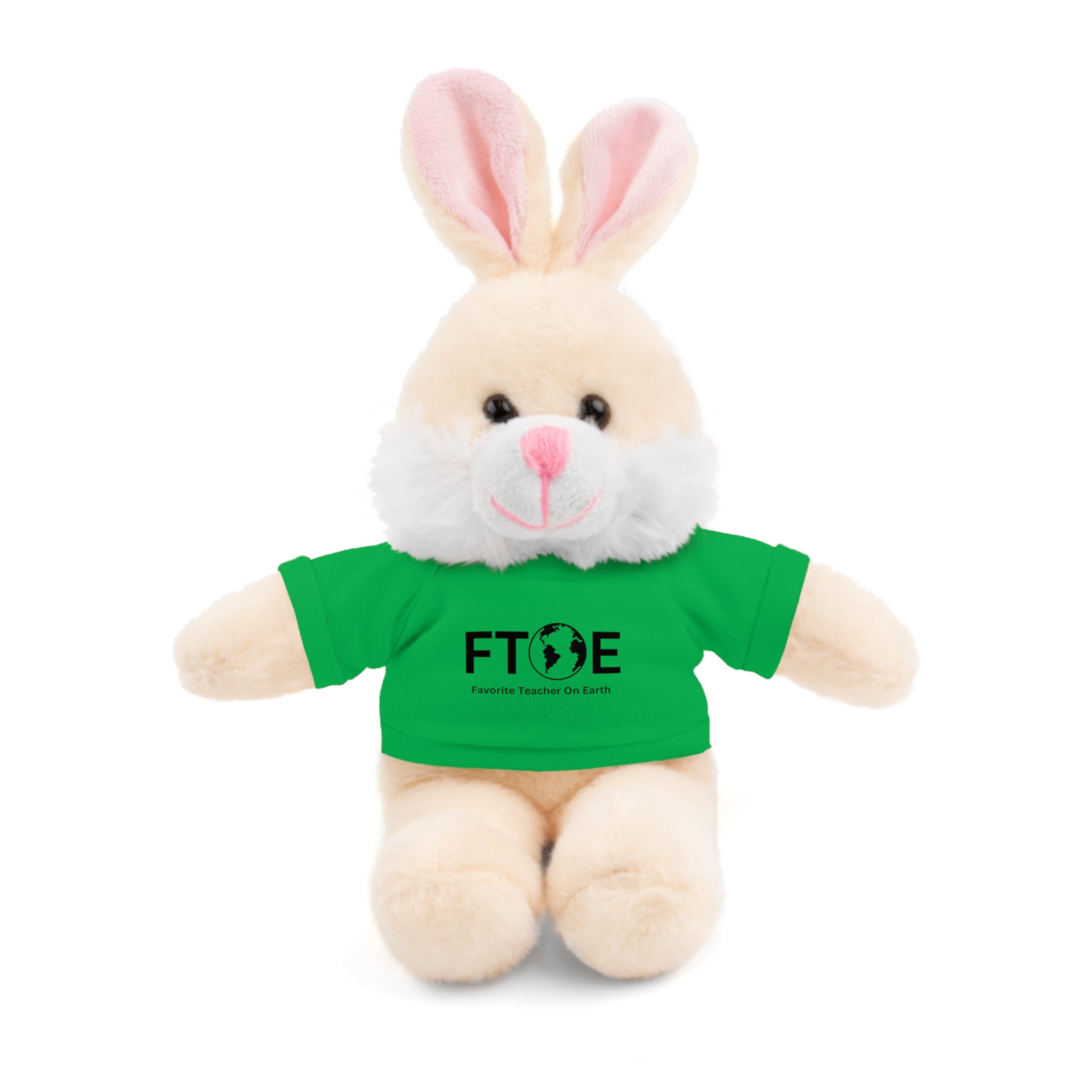 Stuffed Animal Gift – Favorite Teacher on Earth (FTOE) – Customizable T-Shirt & Animal
