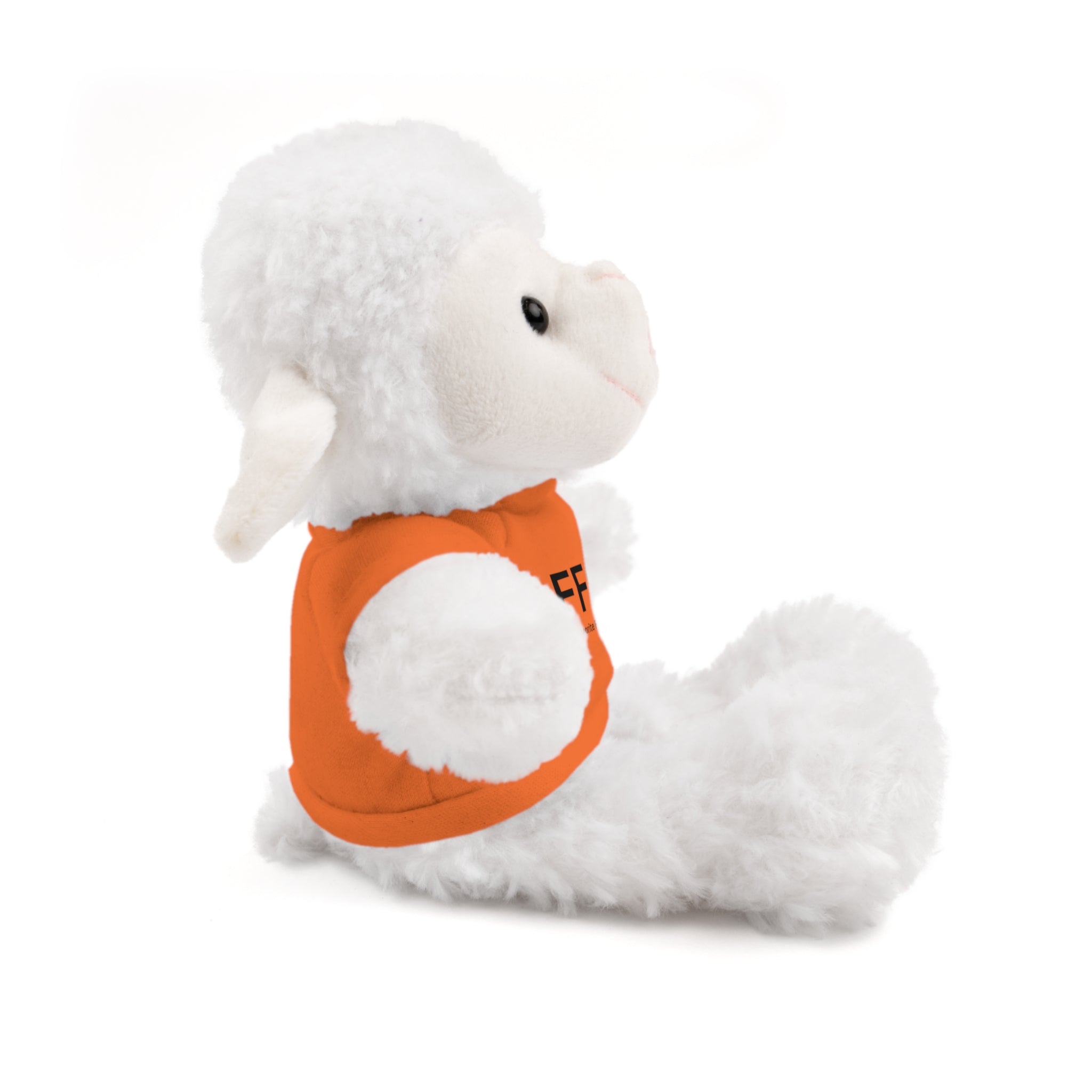 Stuffed Animal Gift – Favorite Friend on Earth (FFOE)– Customizable T-Shirt & Animal