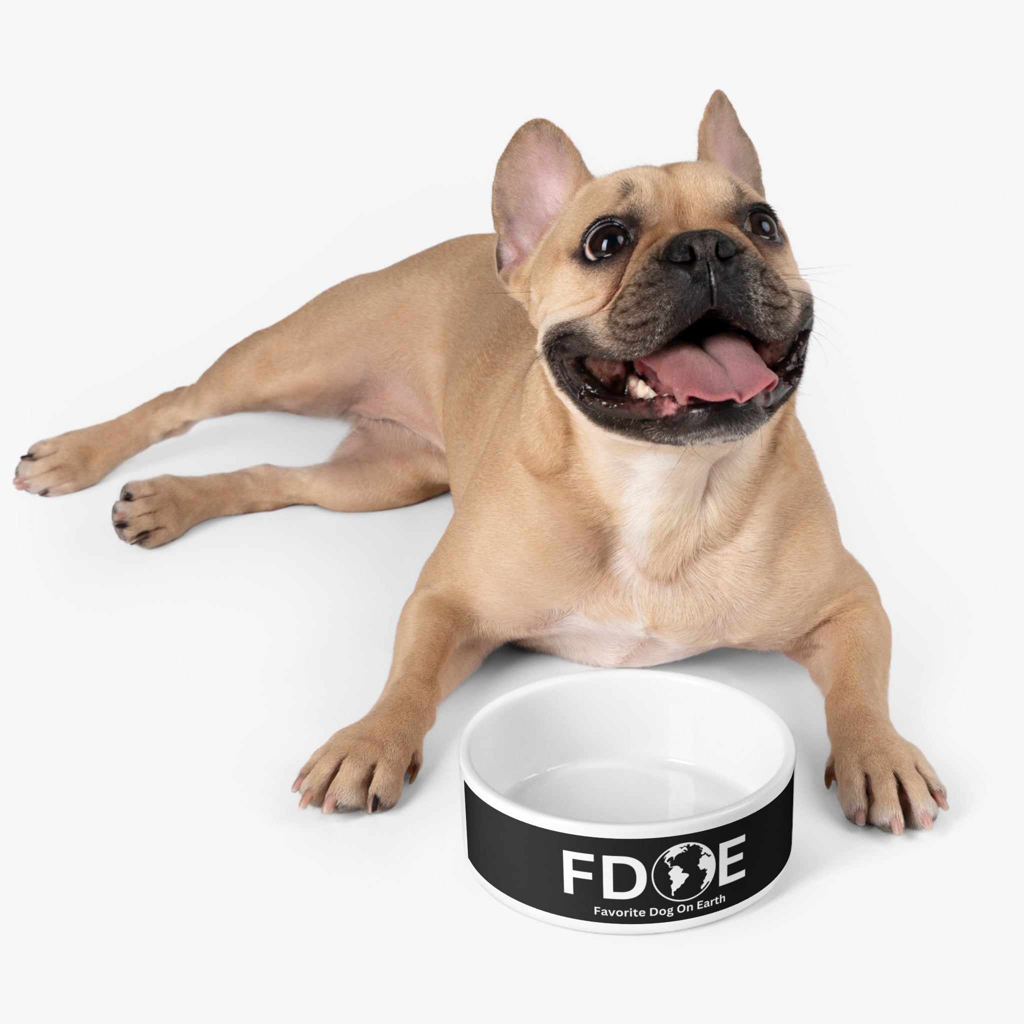 Favorite Dog On Earth (FDOE) Custom Pet Bowl - Stylish and Functional Ceramic Dog Bowl