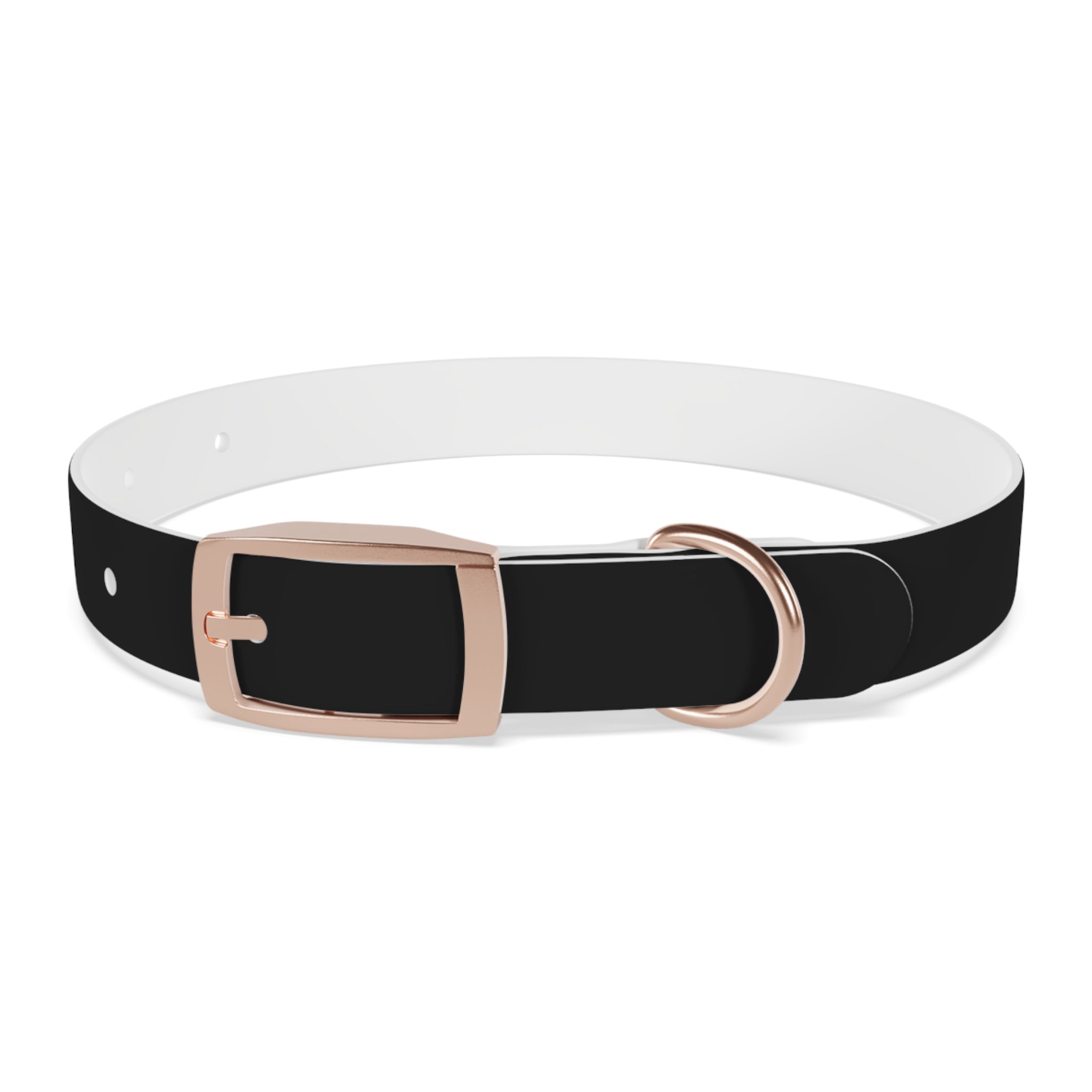 Favorite Dog On Earth (FDOE) Personalized Dog Collar - Customizable and Stylish Pet Accessory