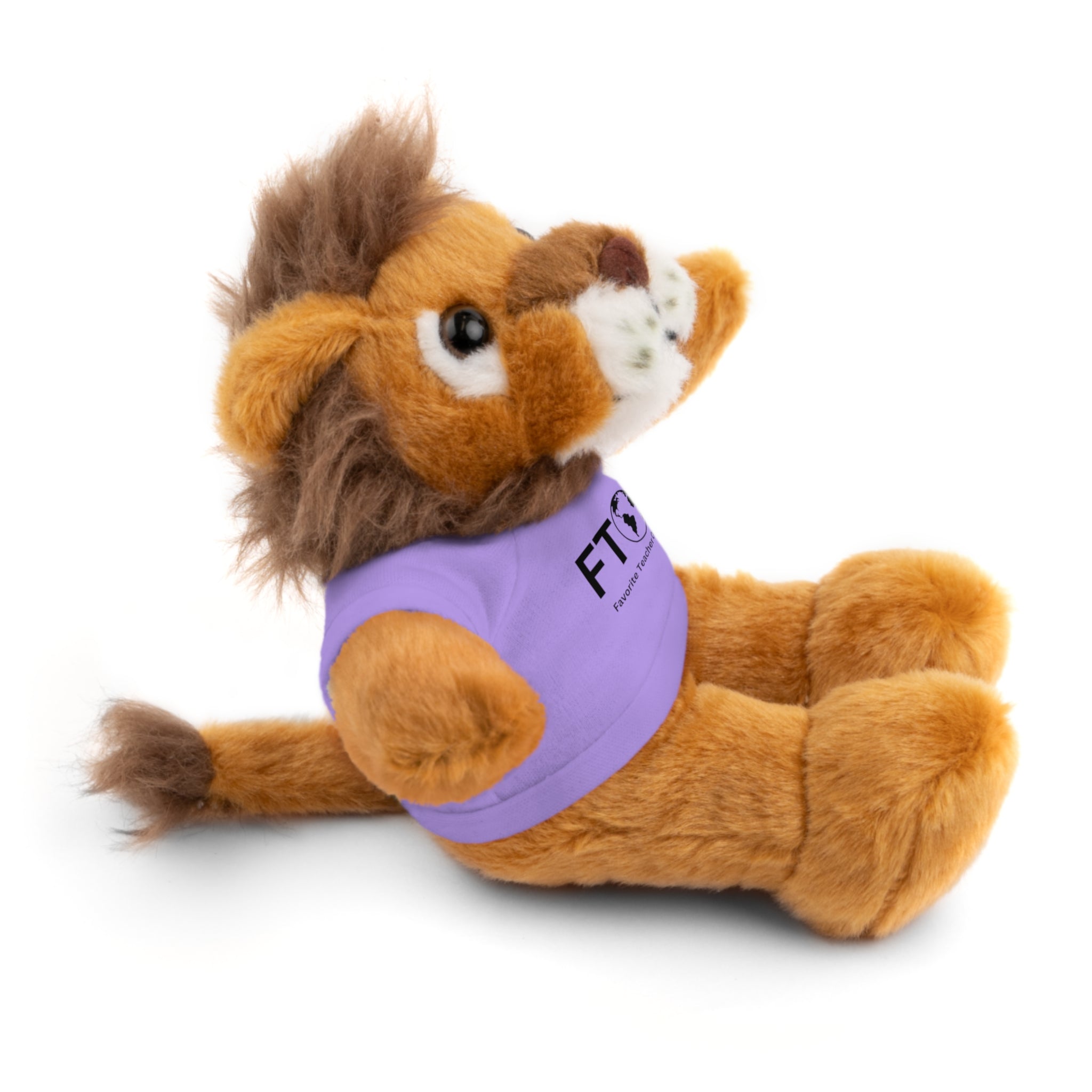 Stuffed Animal Gift – Favorite Teacher on Earth (FTOE) – Customizable T-Shirt & Animal