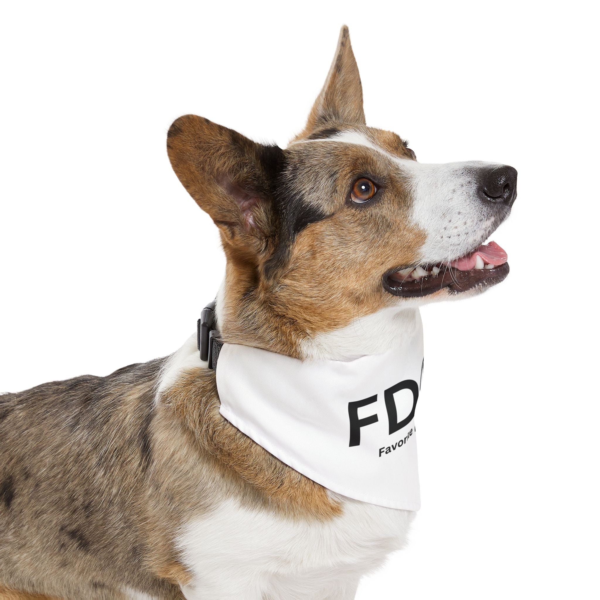 Favorite Dog on Earth (FDOE) Pet Bandana Collar – Fun & Durable Accessory
