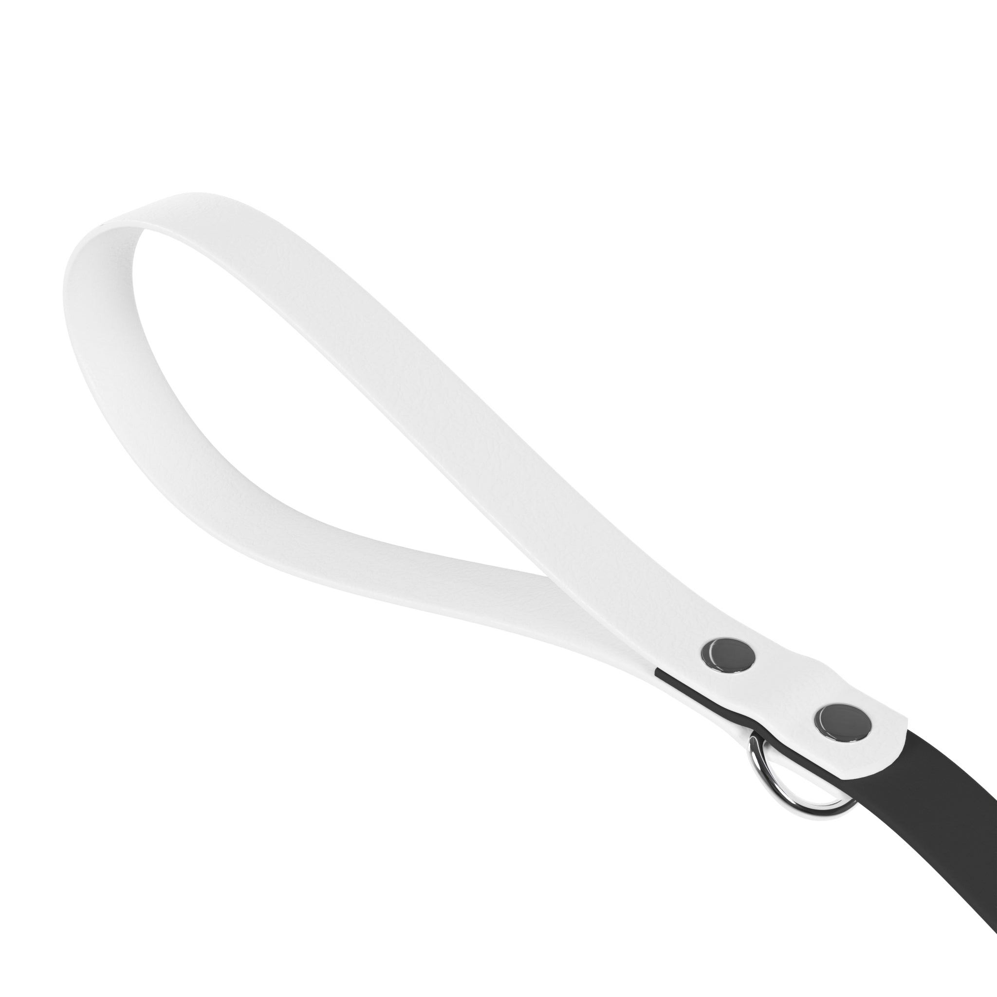 Favorite Dog On Earth (FDOE) Custom Dog Leash - Durable and Stylish Leash for Your Pup