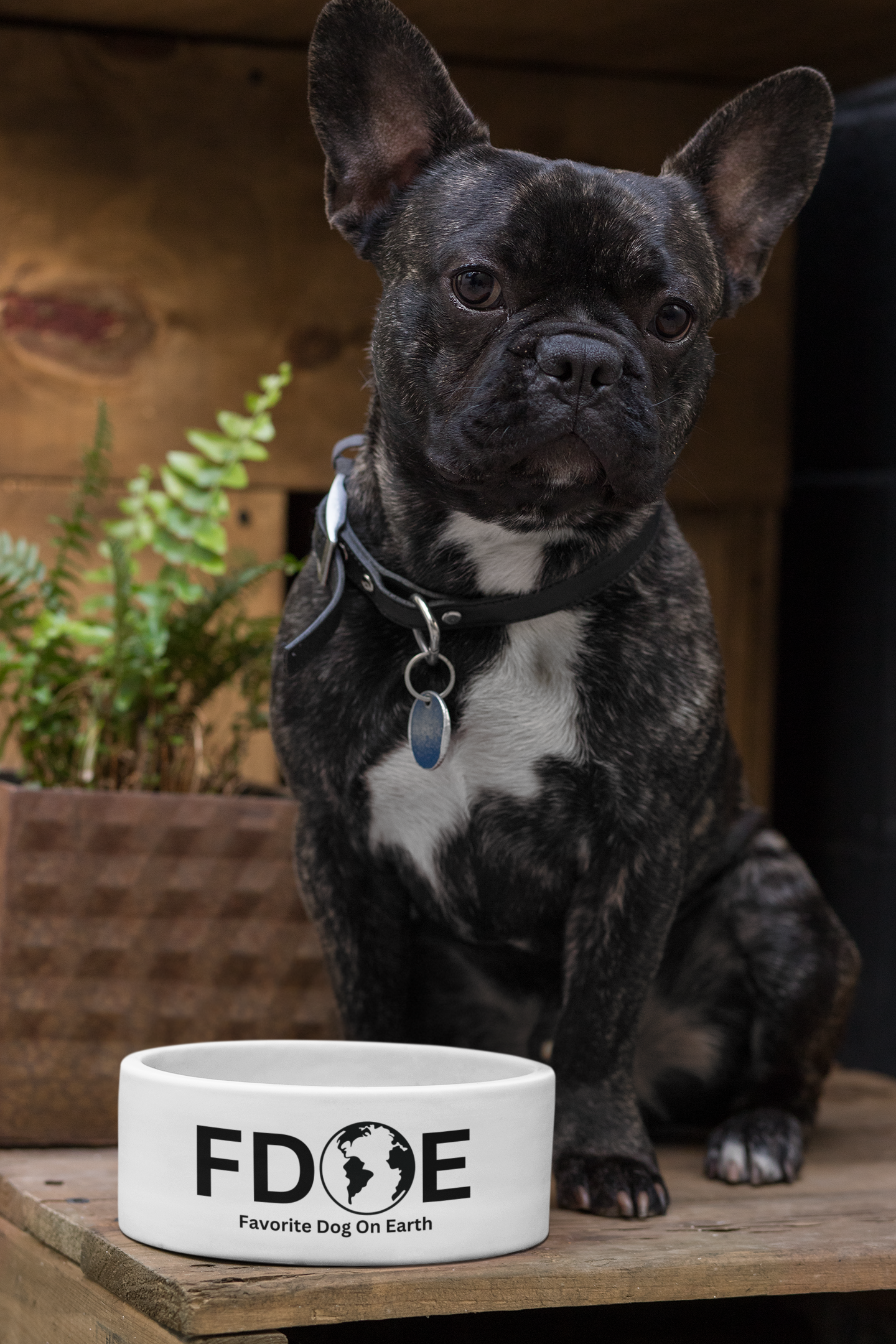 Favorite Dog On Earth (FDOE) Custom Pet Bowl - Stylish and Functional Ceramic Dog Bowl
