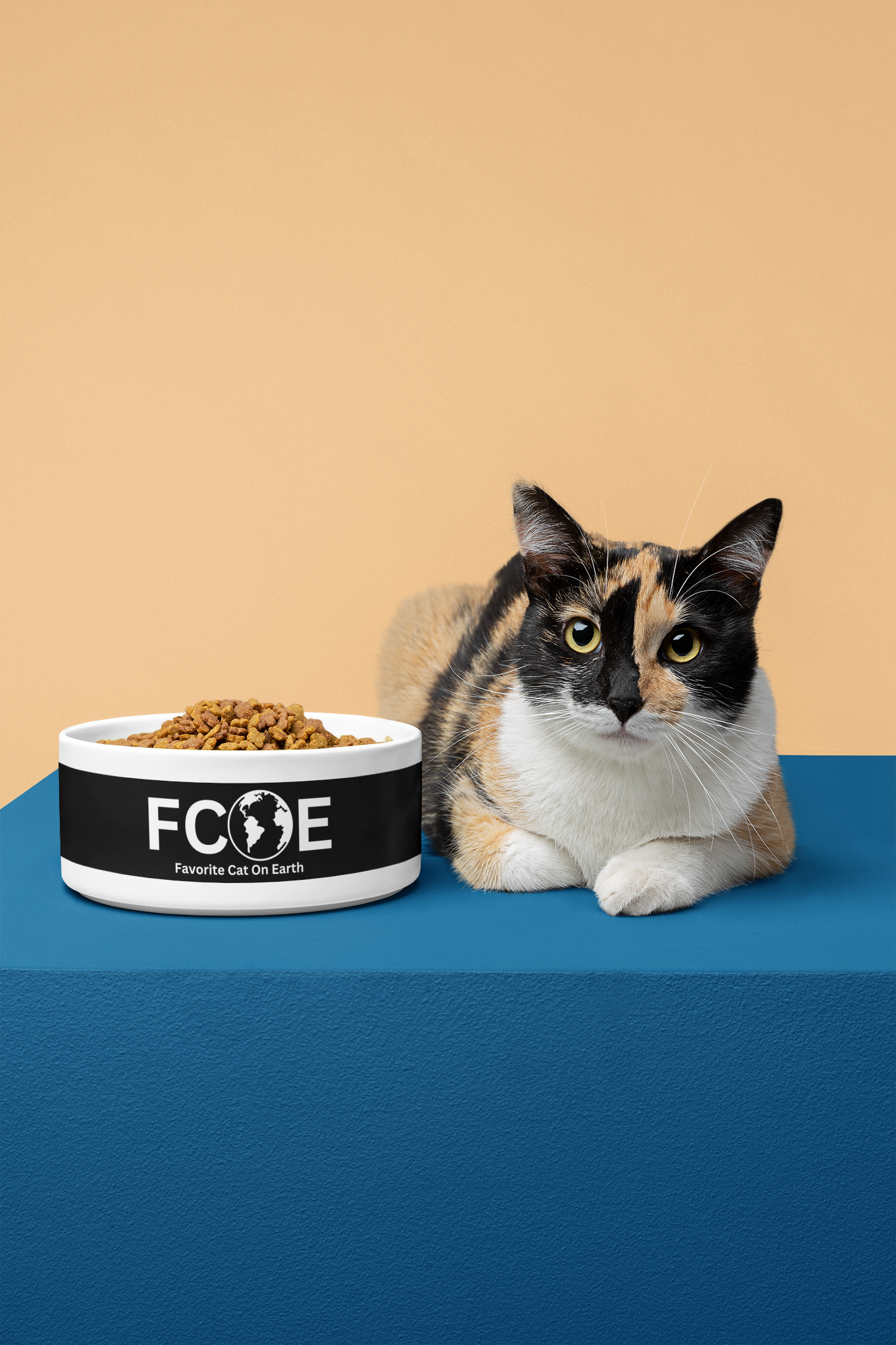 Favorite Cat On Earth (FCOE) Custom Pet Bowl - Stylish and Practical Ceramic Pet Dish