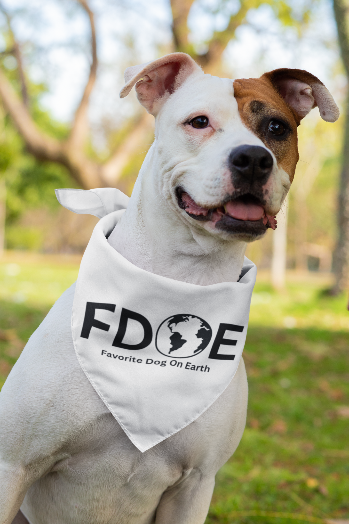 Favorite Dog on Earth (FDOE) Pet Bandana Collar – Fun & Durable Accessory